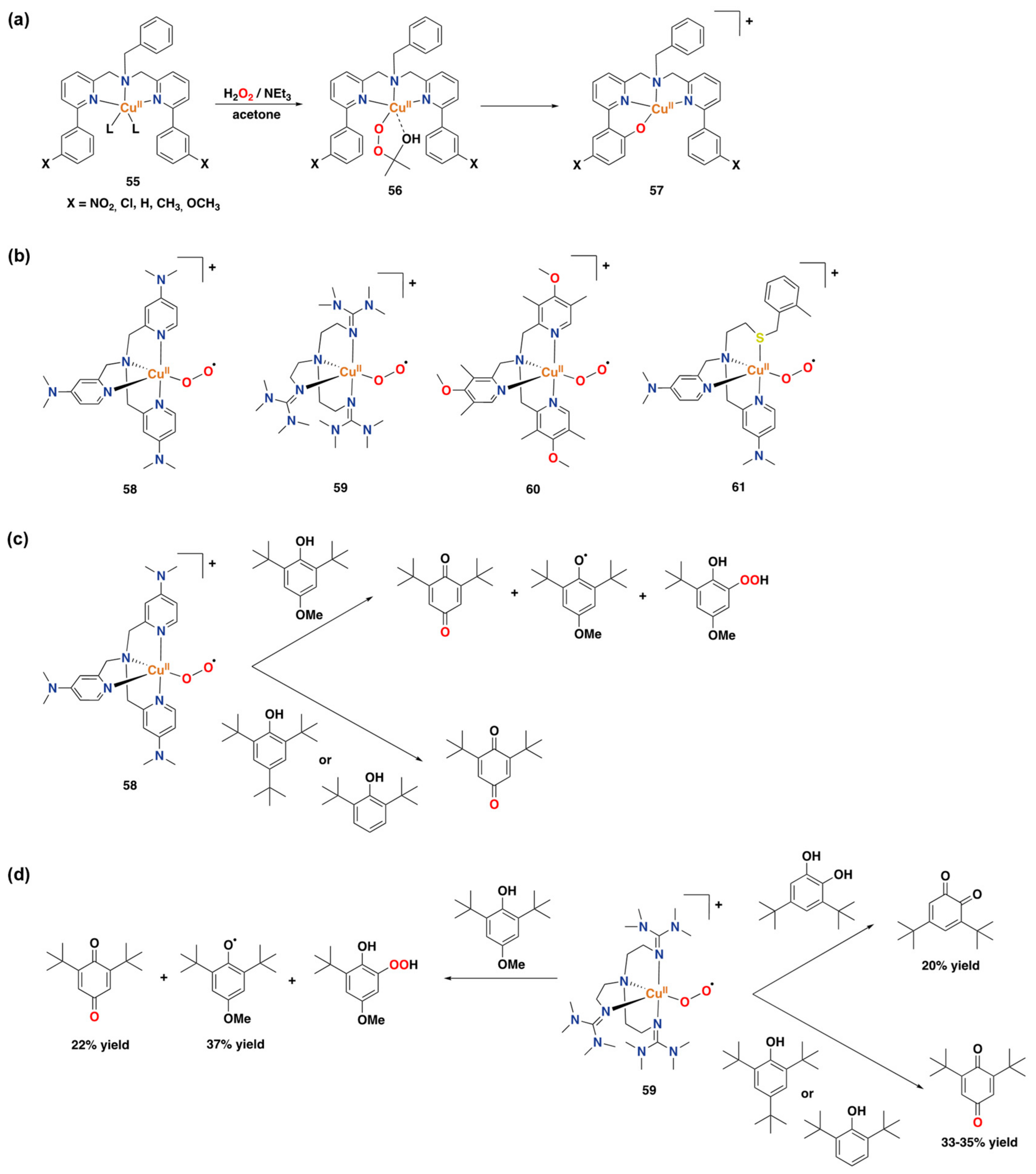 Catalysts 13 00773 g029