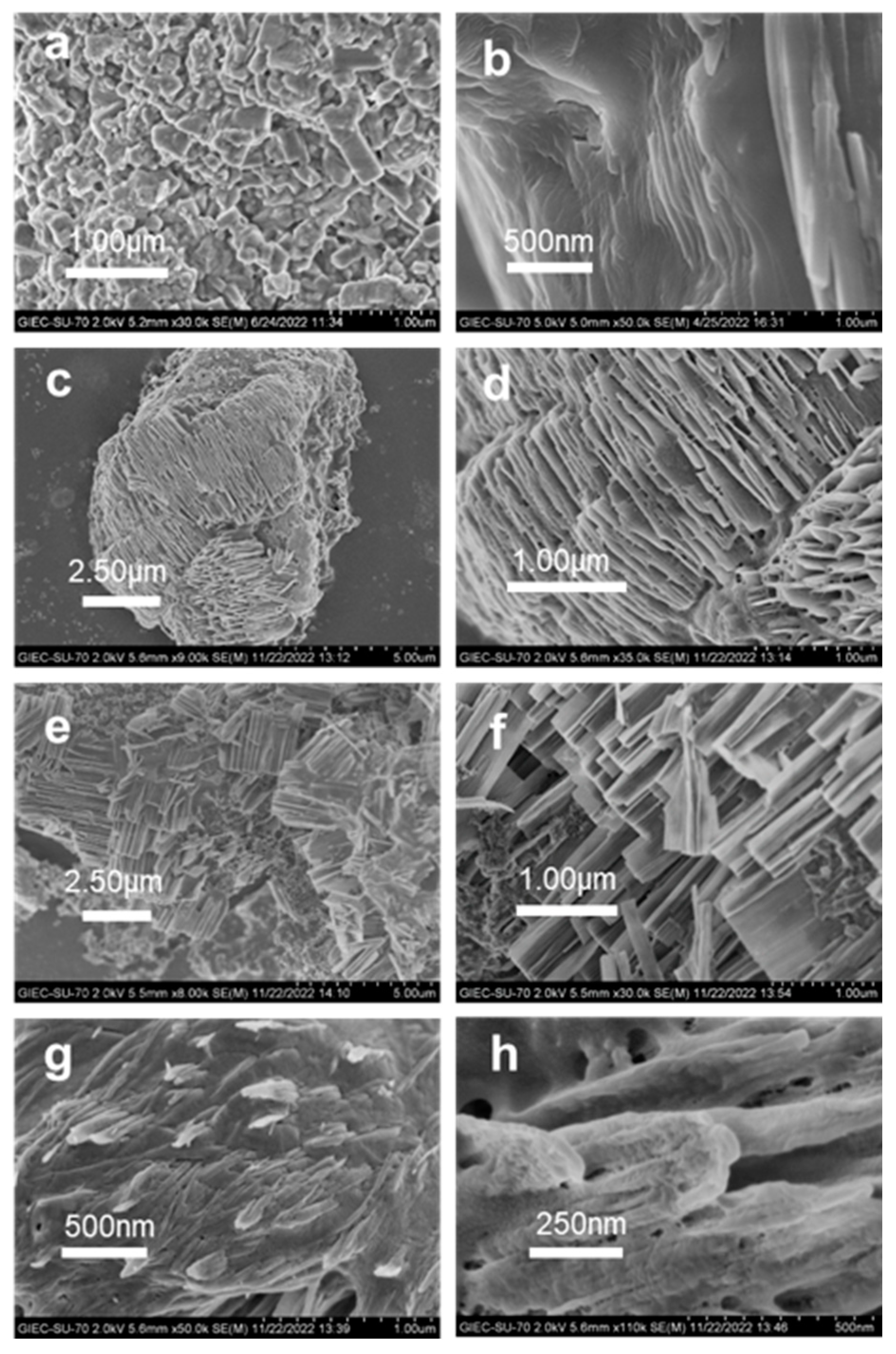 Catalysts 13 00775 g002 Catalysts 13 00775 g002