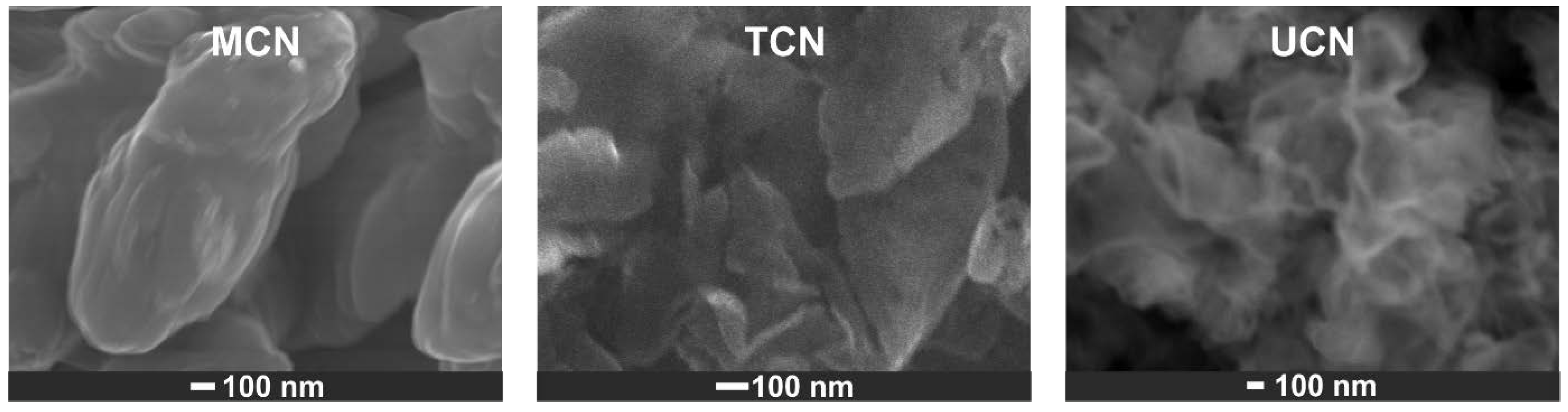 Catalysts 13 00789 g005 Catalysts 13 00789 g005
