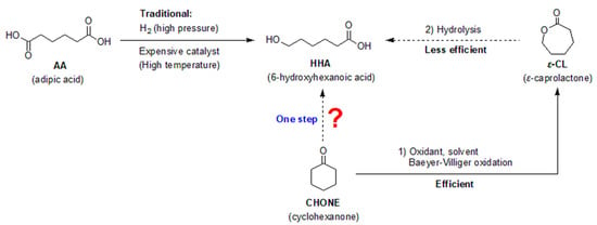 Substrate, Catalyst, and Solvent: The Triune Nature of Multitasking  Reagents in Hydroboration and Cyanosilylation