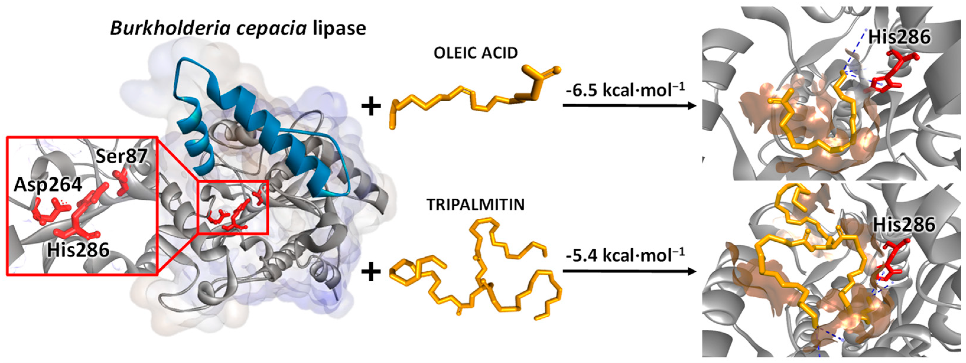 Catalysts 13 00825 g006