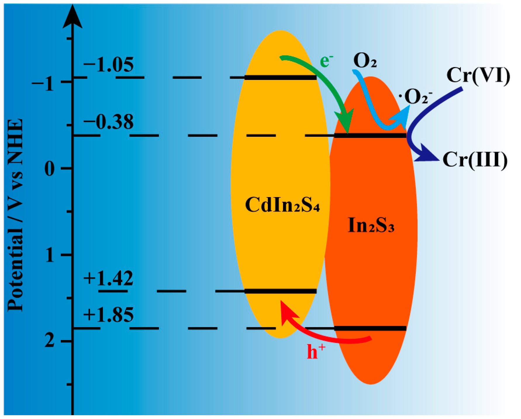 Catalysts 13 00826 g010