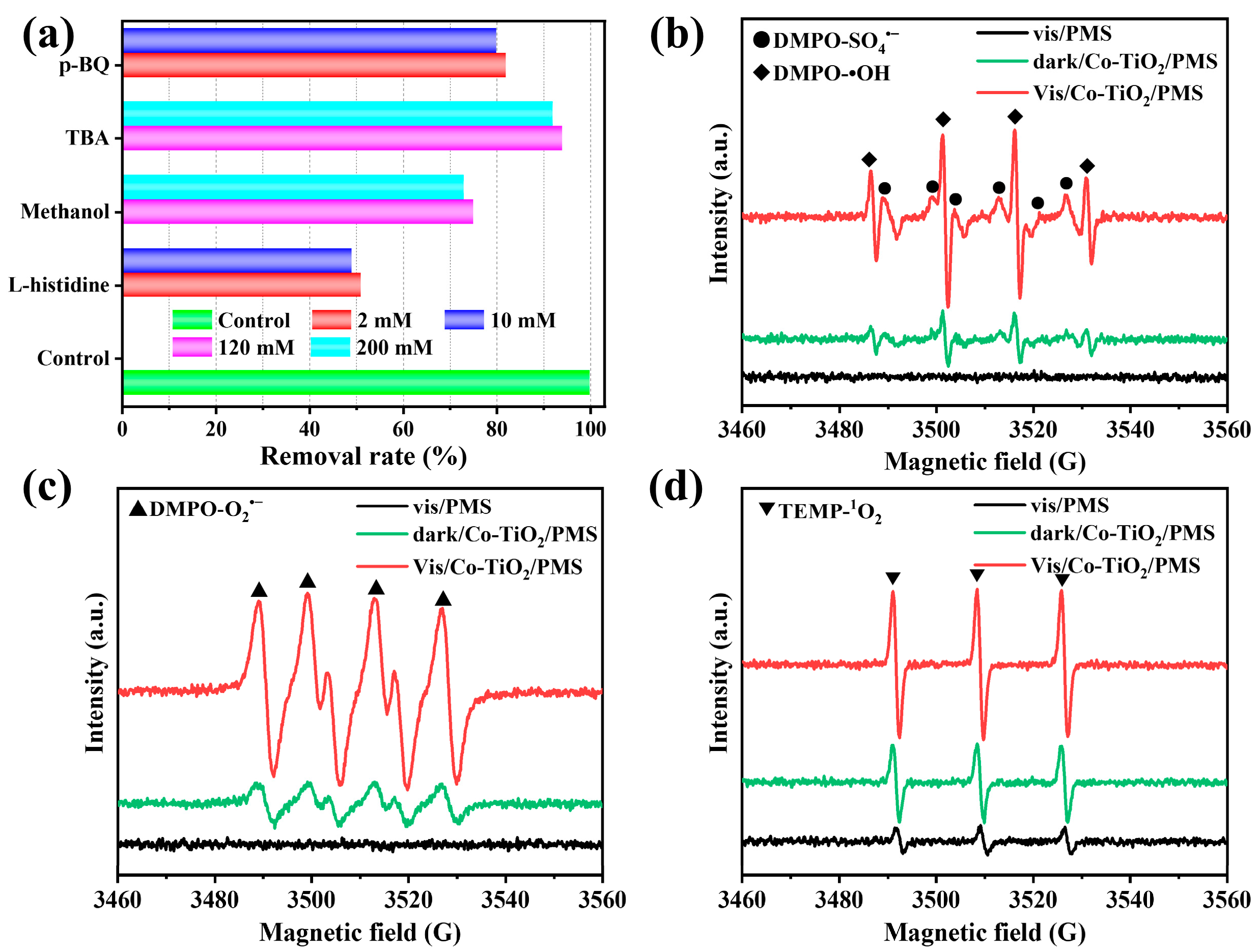 Catalysts 13 00836 g007 Catalysts 13 00836 g007