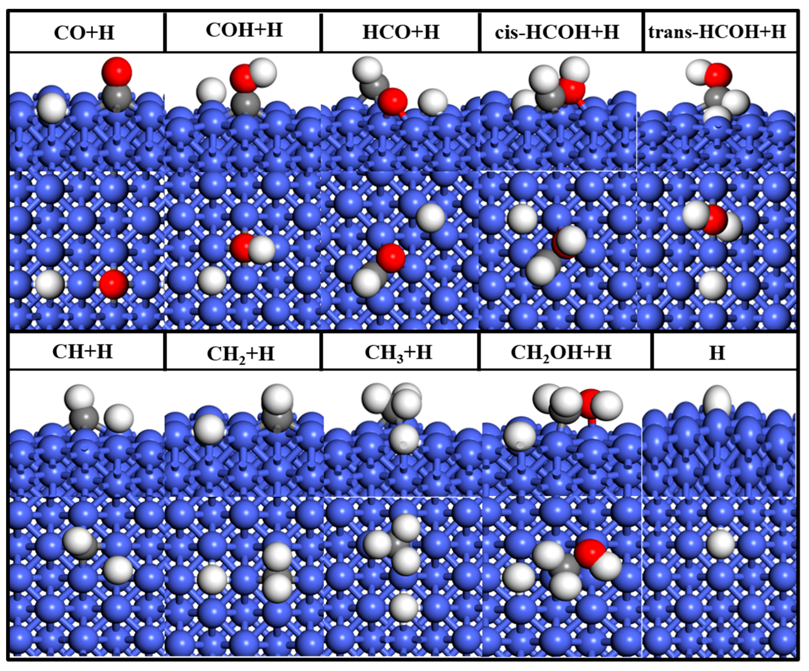 Catalysts 13 00837 g003 Catalysts 13 00837 g003