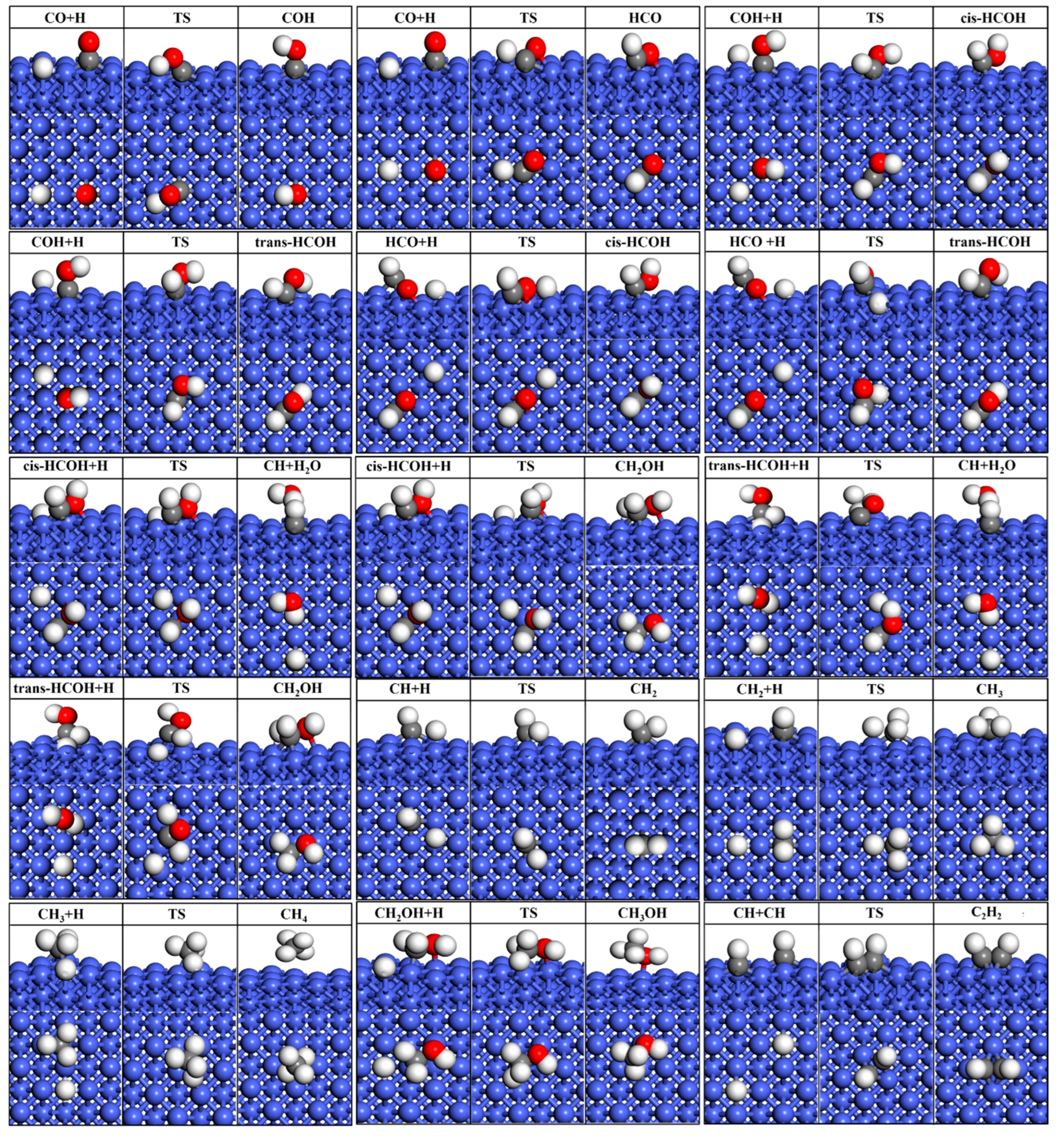 Catalysts 13 00837 g004 Catalysts 13 00837 g004