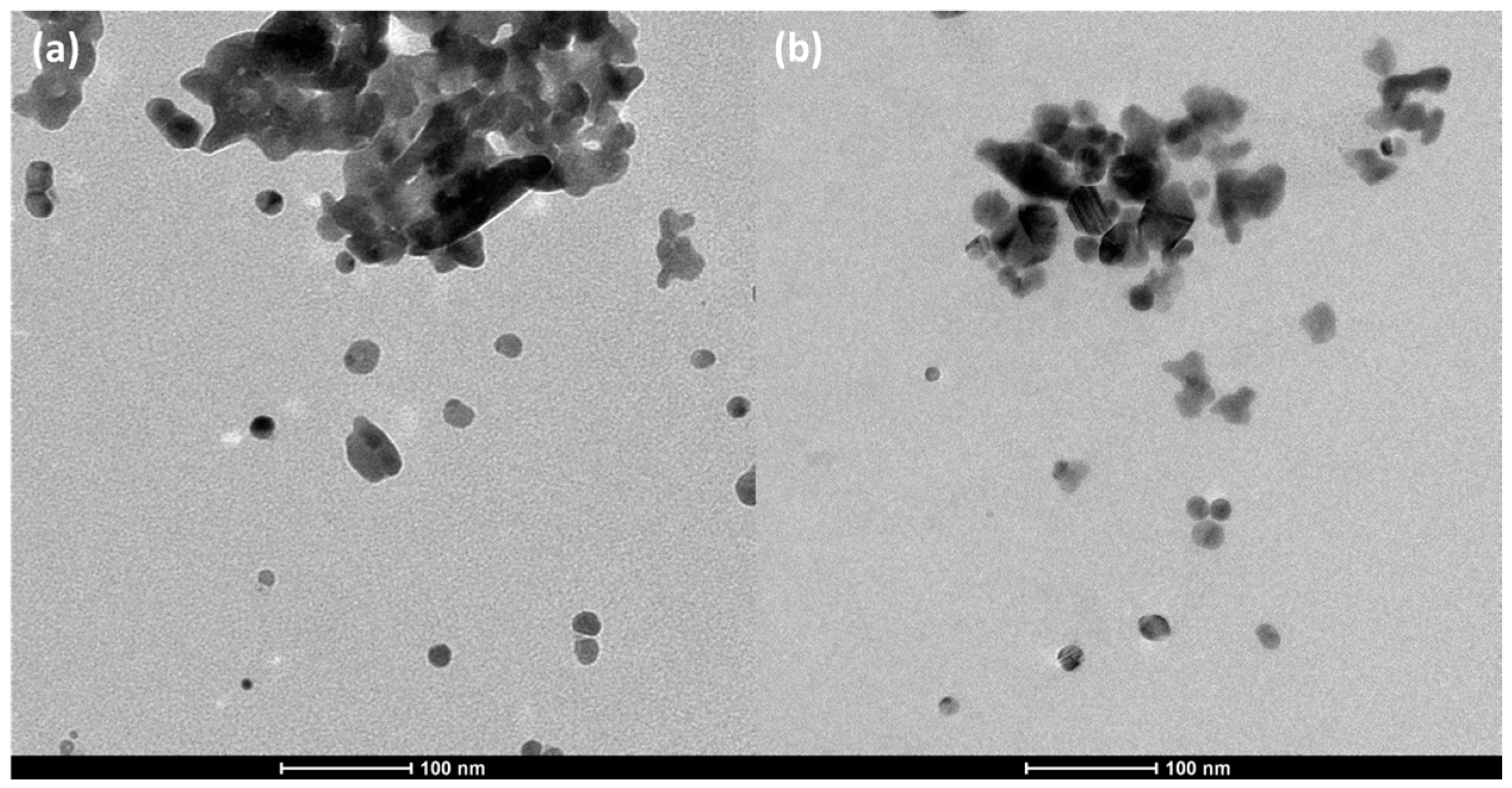 Catalysts 13 00842 g007 Catalysts 13 00842 g007