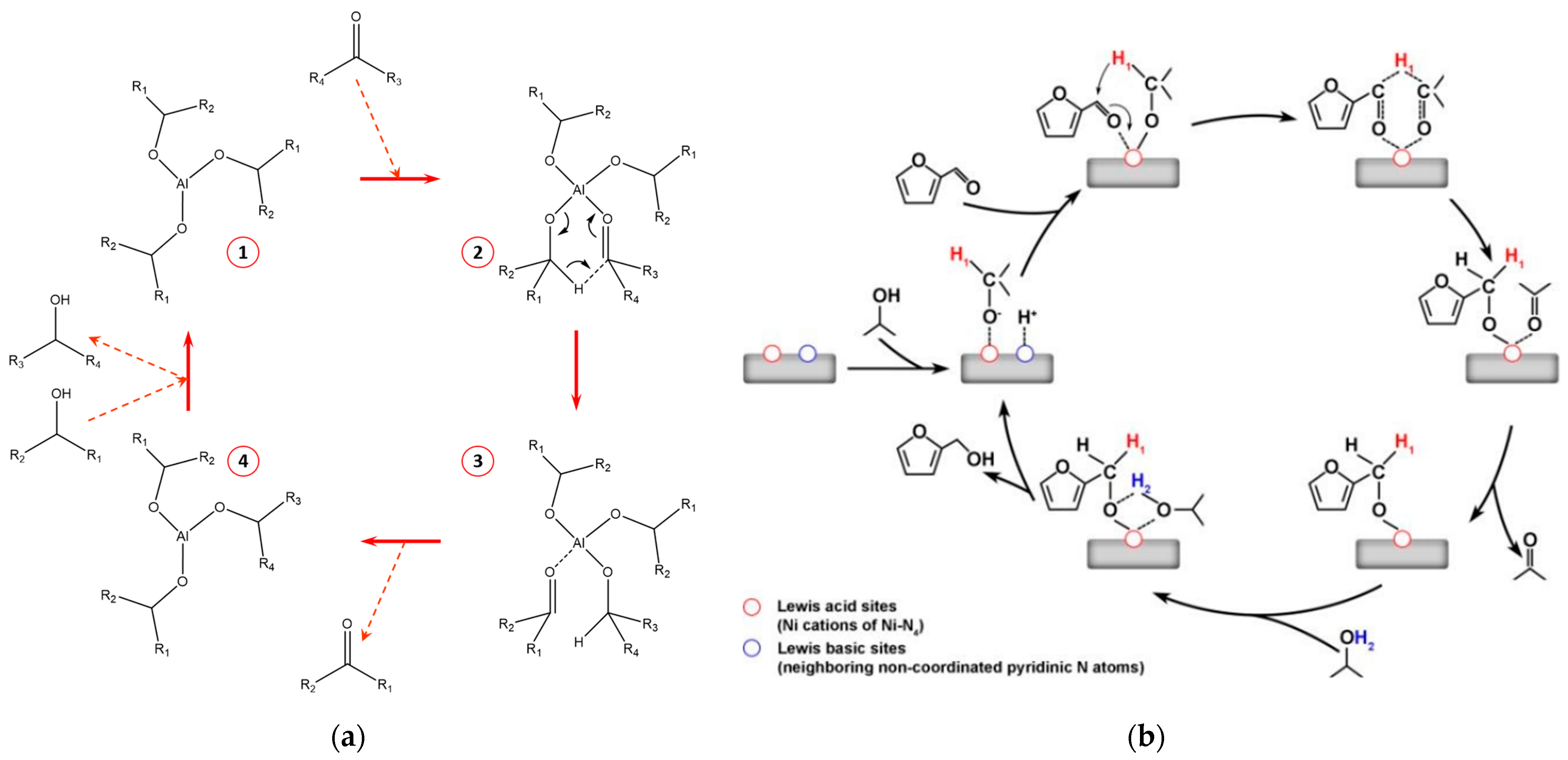 Catalysts 13 00845 g012 Catalysts 13 00845 g012