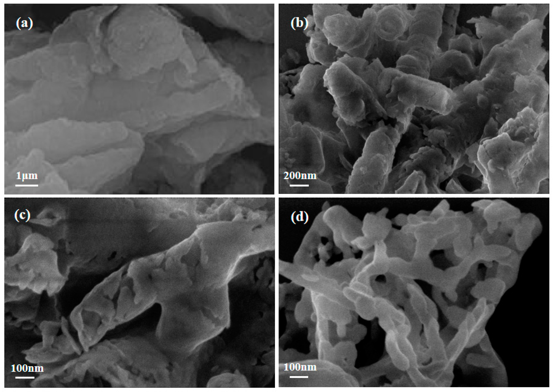 Catalysts 13 00848 g003 Catalysts 13 00848 g003