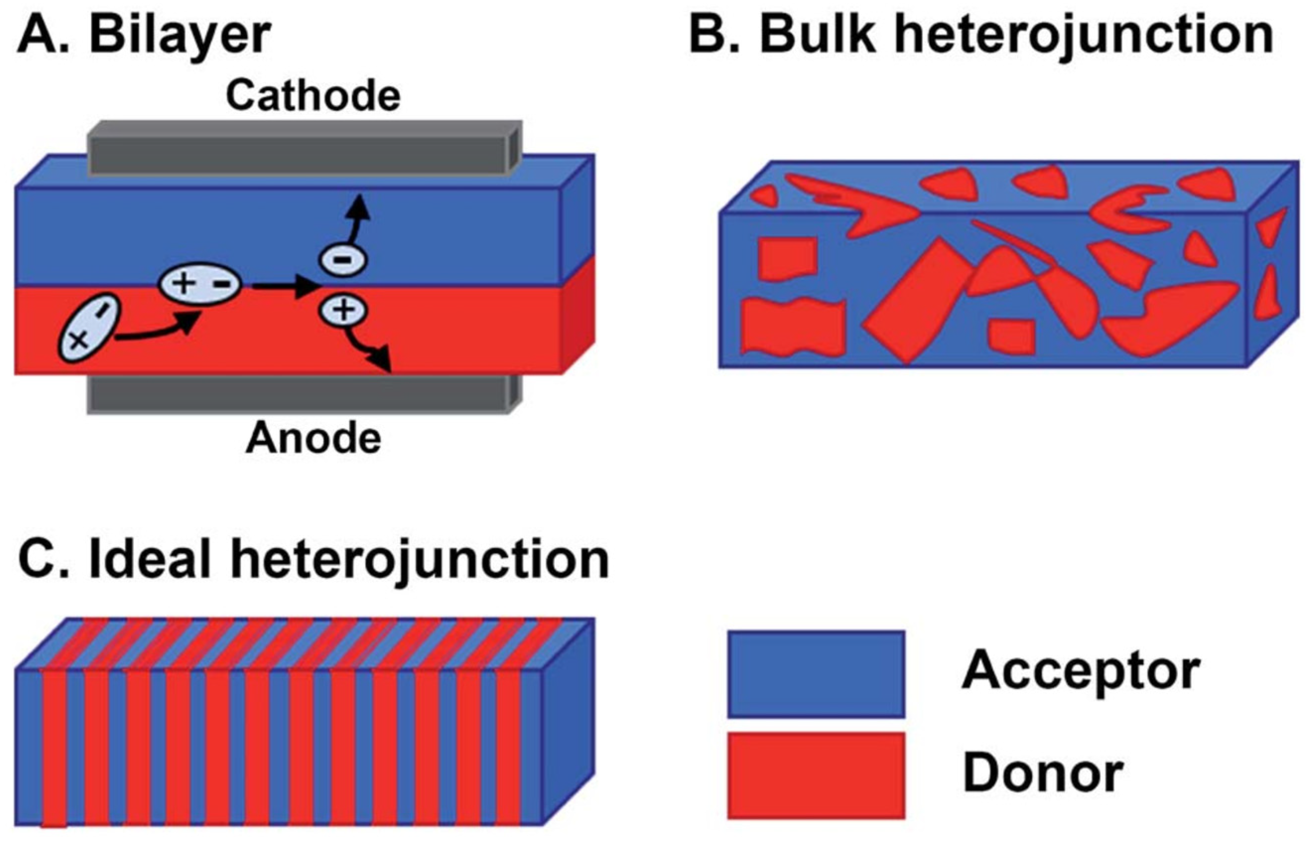 Catalysts 13 00850 g001 Catalysts 13 00850 g001
