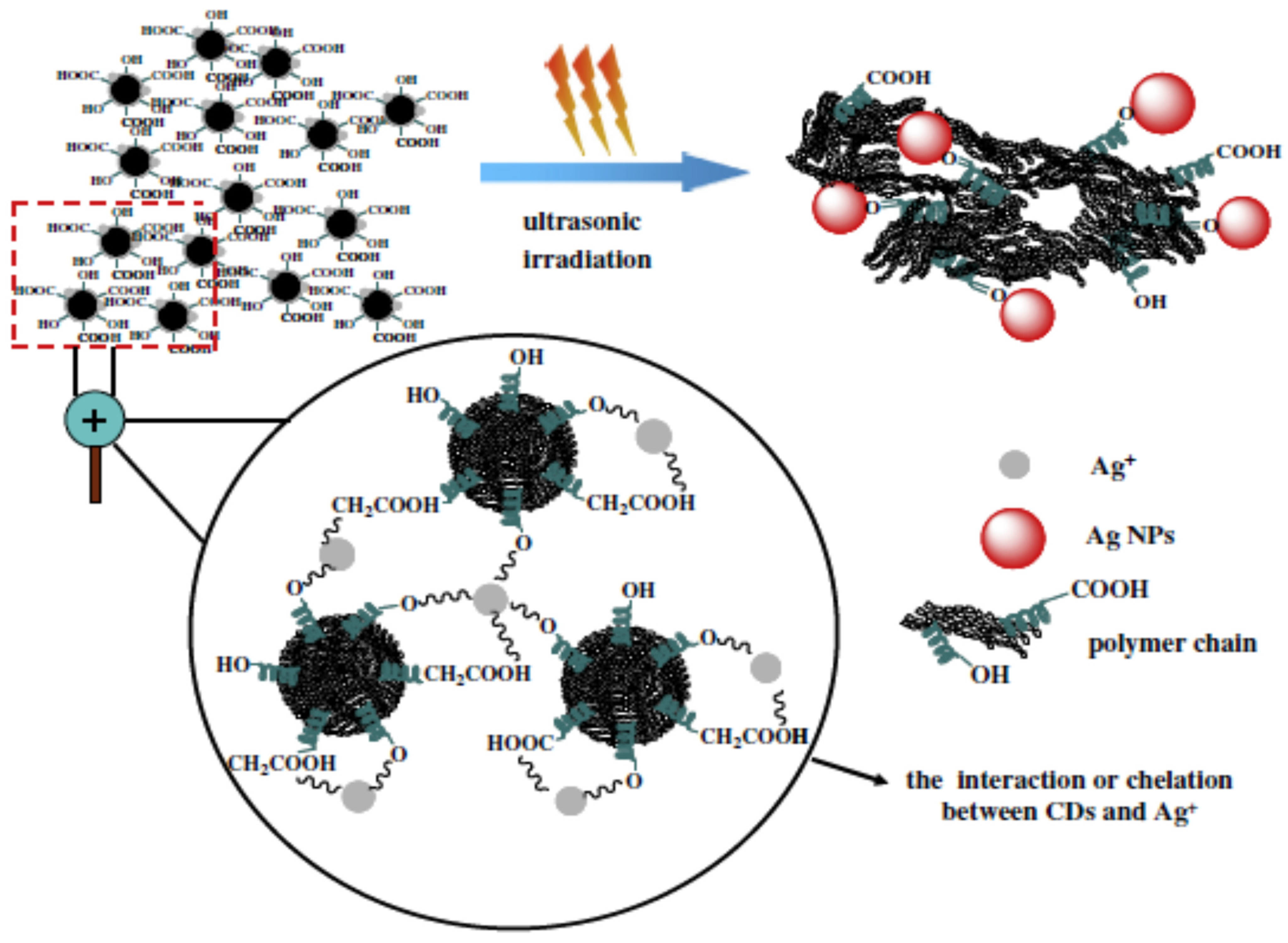 Catalysts 13 00858 sch001 Catalysts 13 00858 sch001