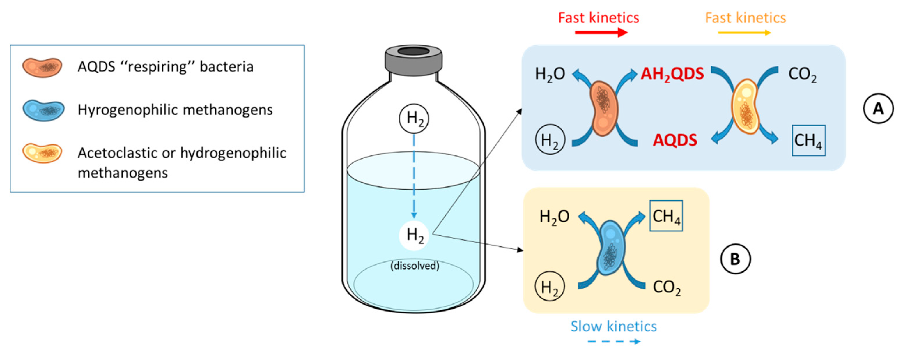 Catalysts 13 00859 g003 Catalysts 13 00859 g003