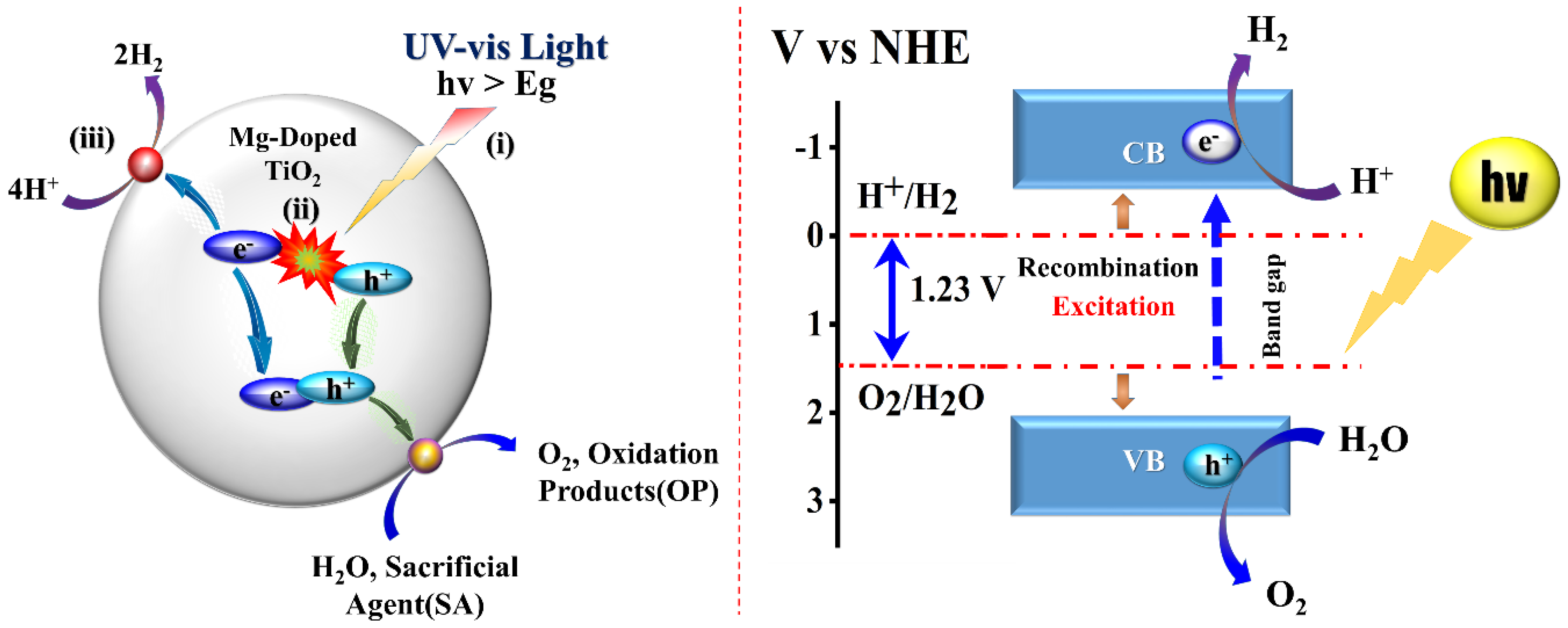 Catalysts | Free Full-Text | Hydrothermally Derived Mg-Doped TiO2 ...