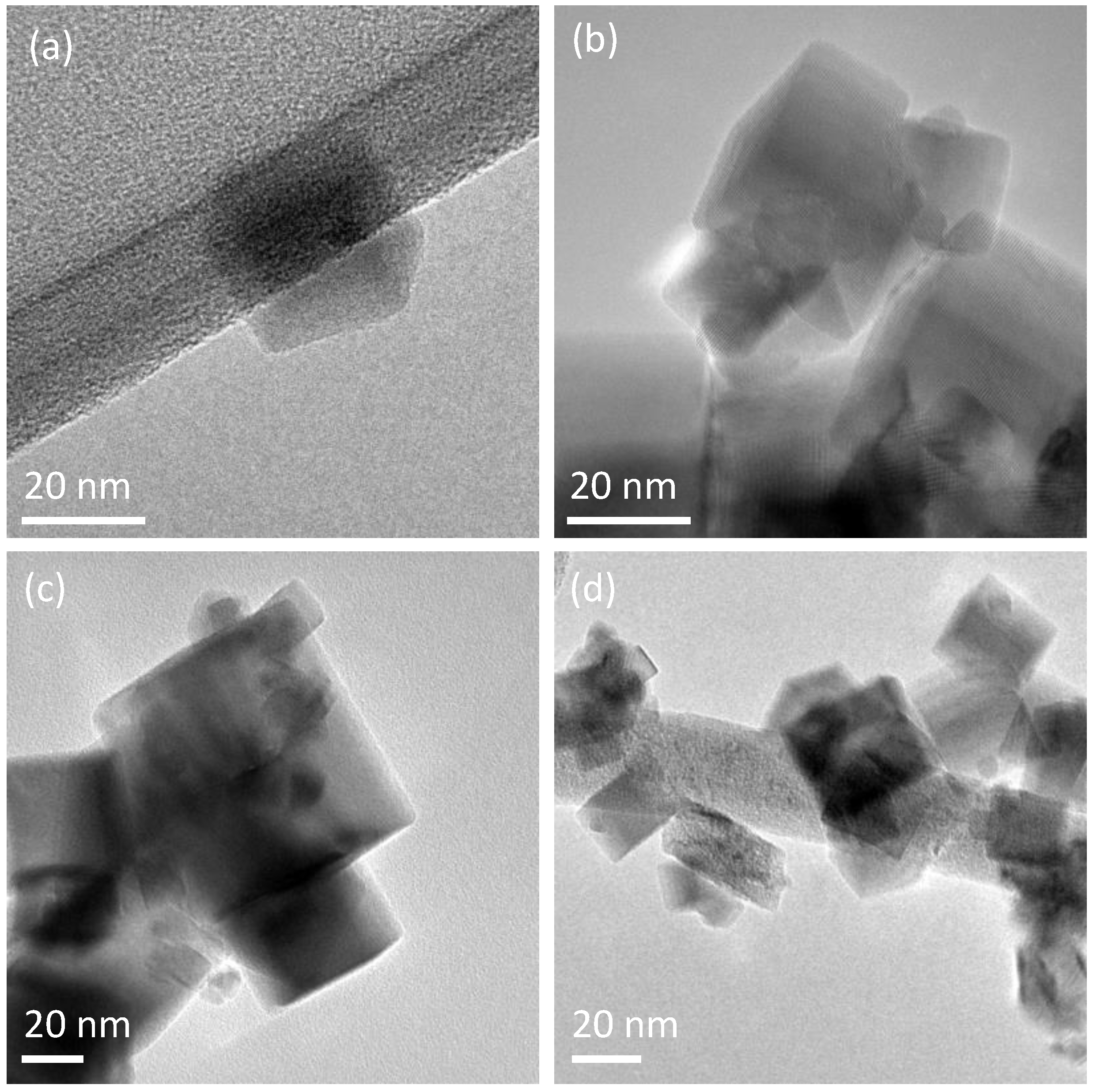 Catalysts 13 00894 g001 Catalysts 13 00894 g001