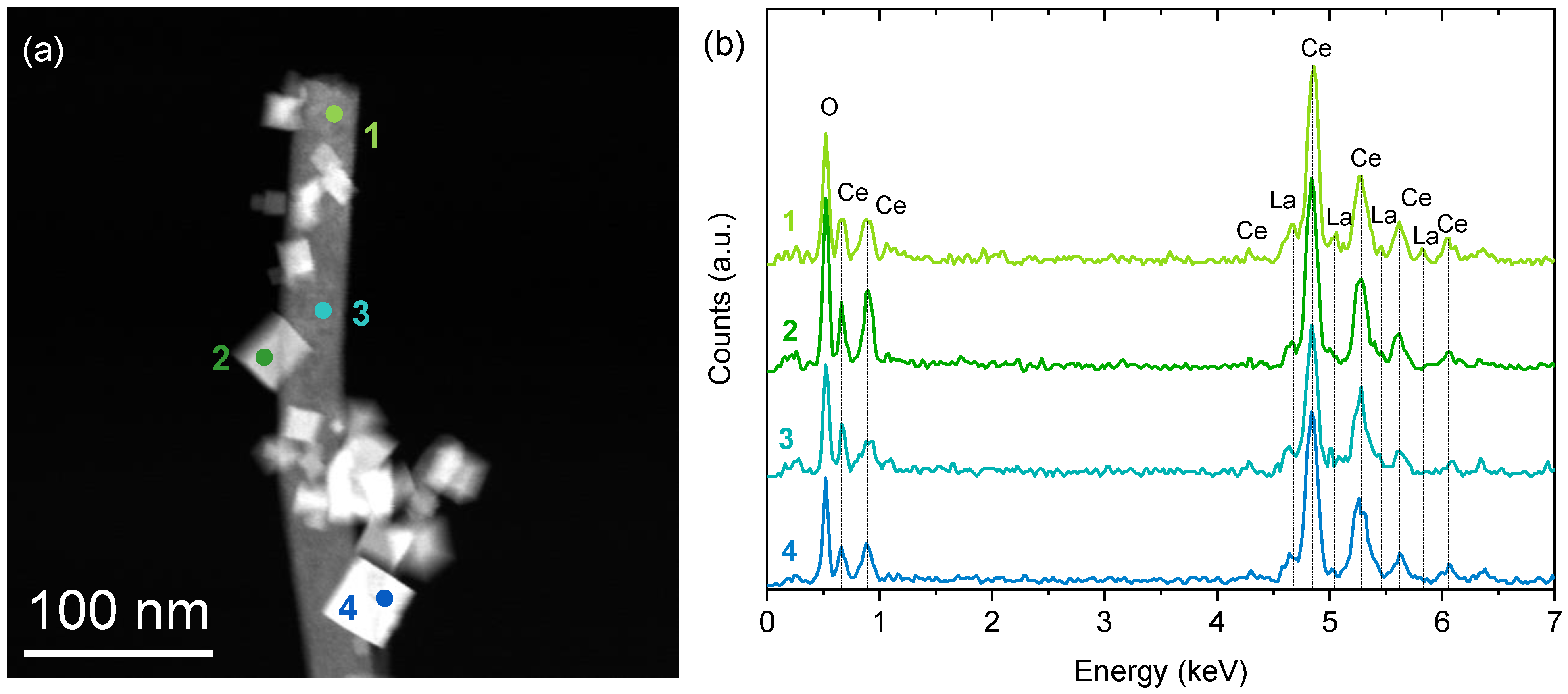 Catalysts 13 00894 g003 Catalysts 13 00894 g003