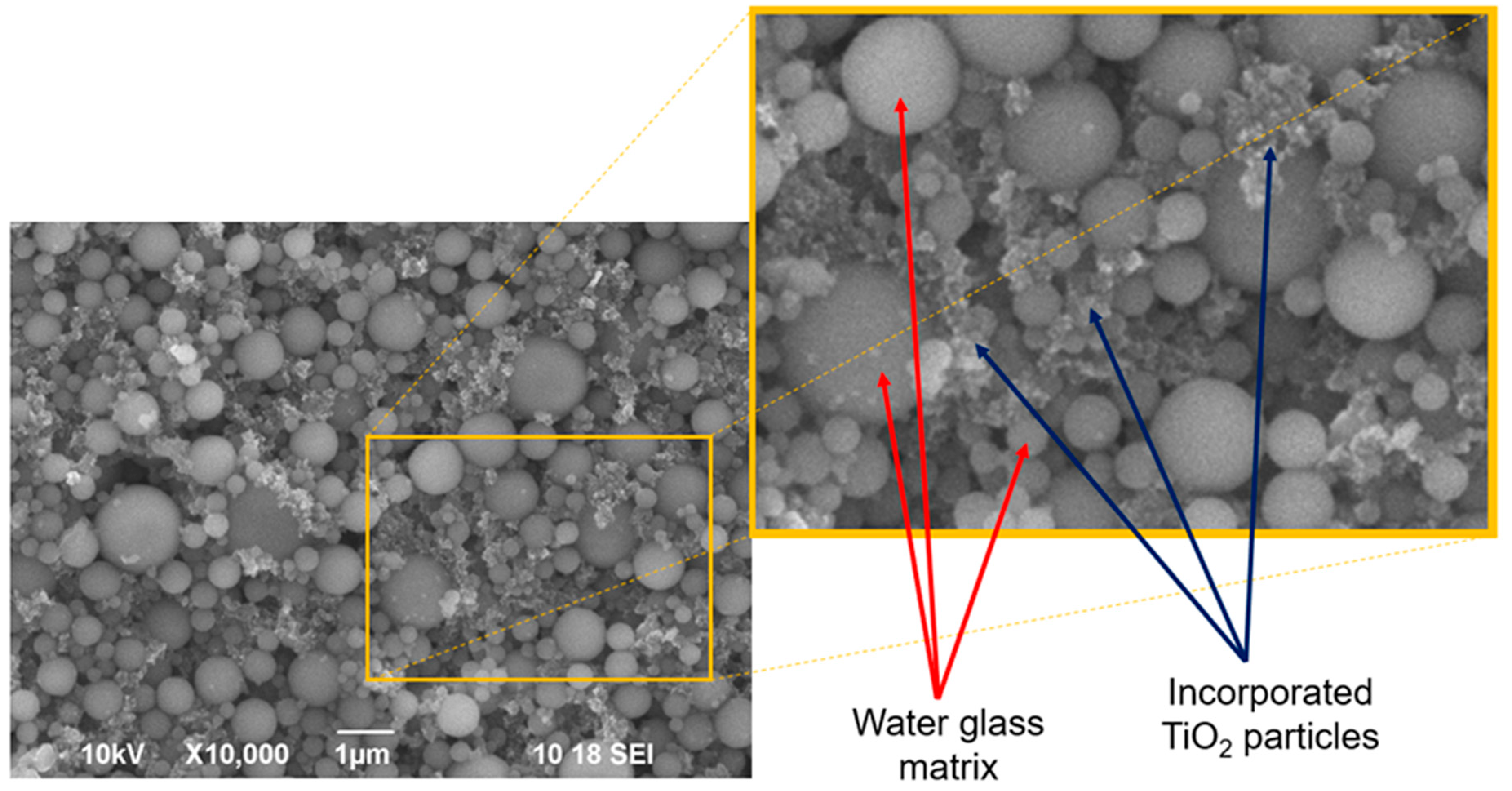 Catalysts 13 00898 g004 Catalysts 13 00898 g004