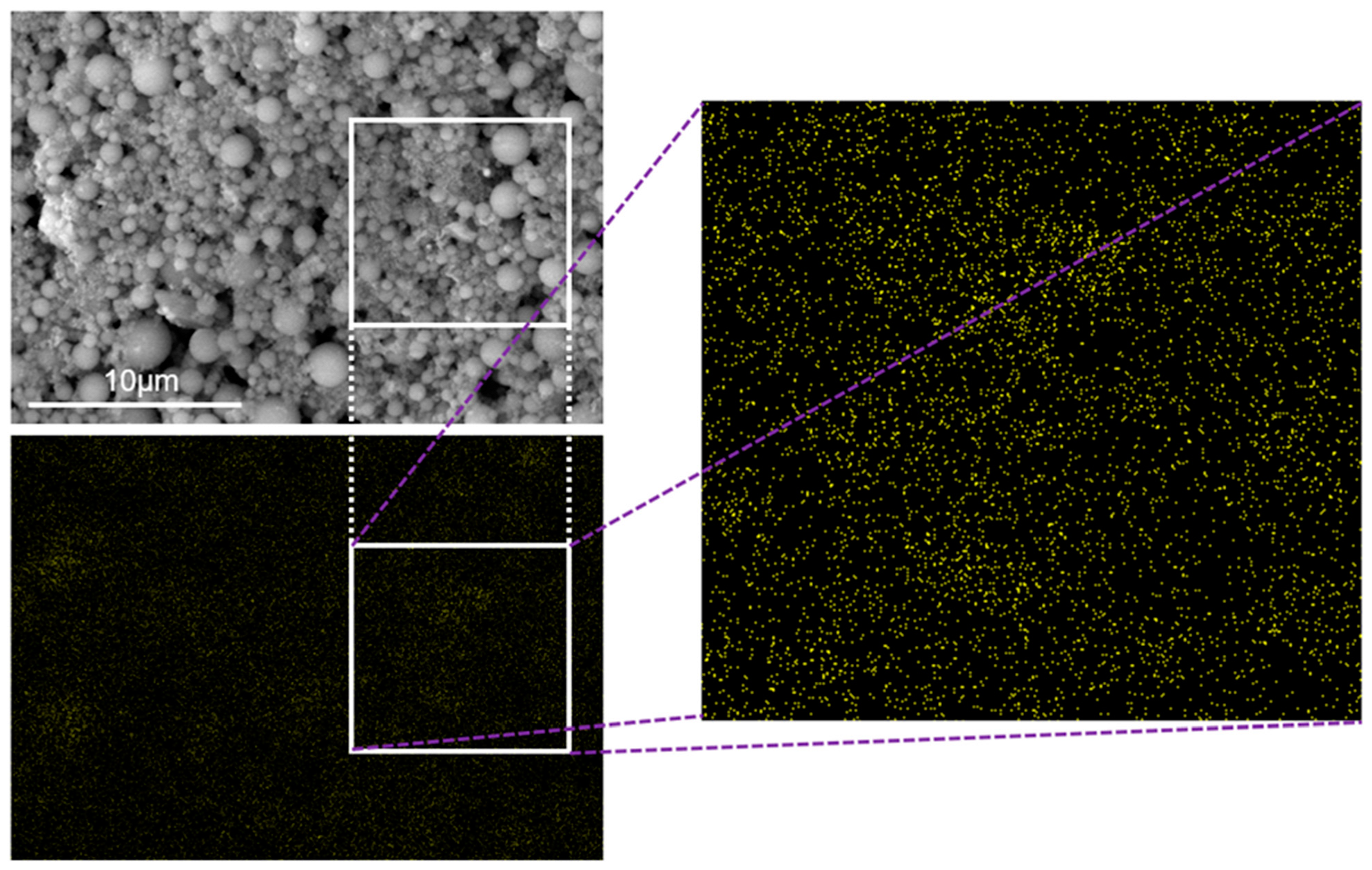 Catalysts 13 00898 g007 Catalysts 13 00898 g007
