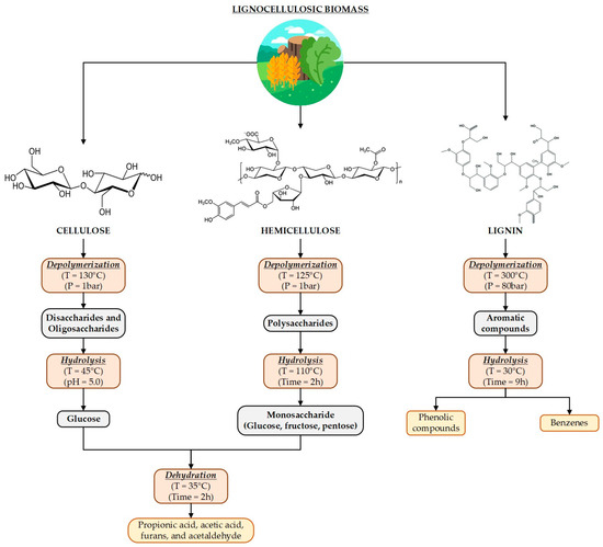 Catalysts | Free Full-Text | Sustainable Biorefineries Based on Catalytic  Biomass Conversion: A Review