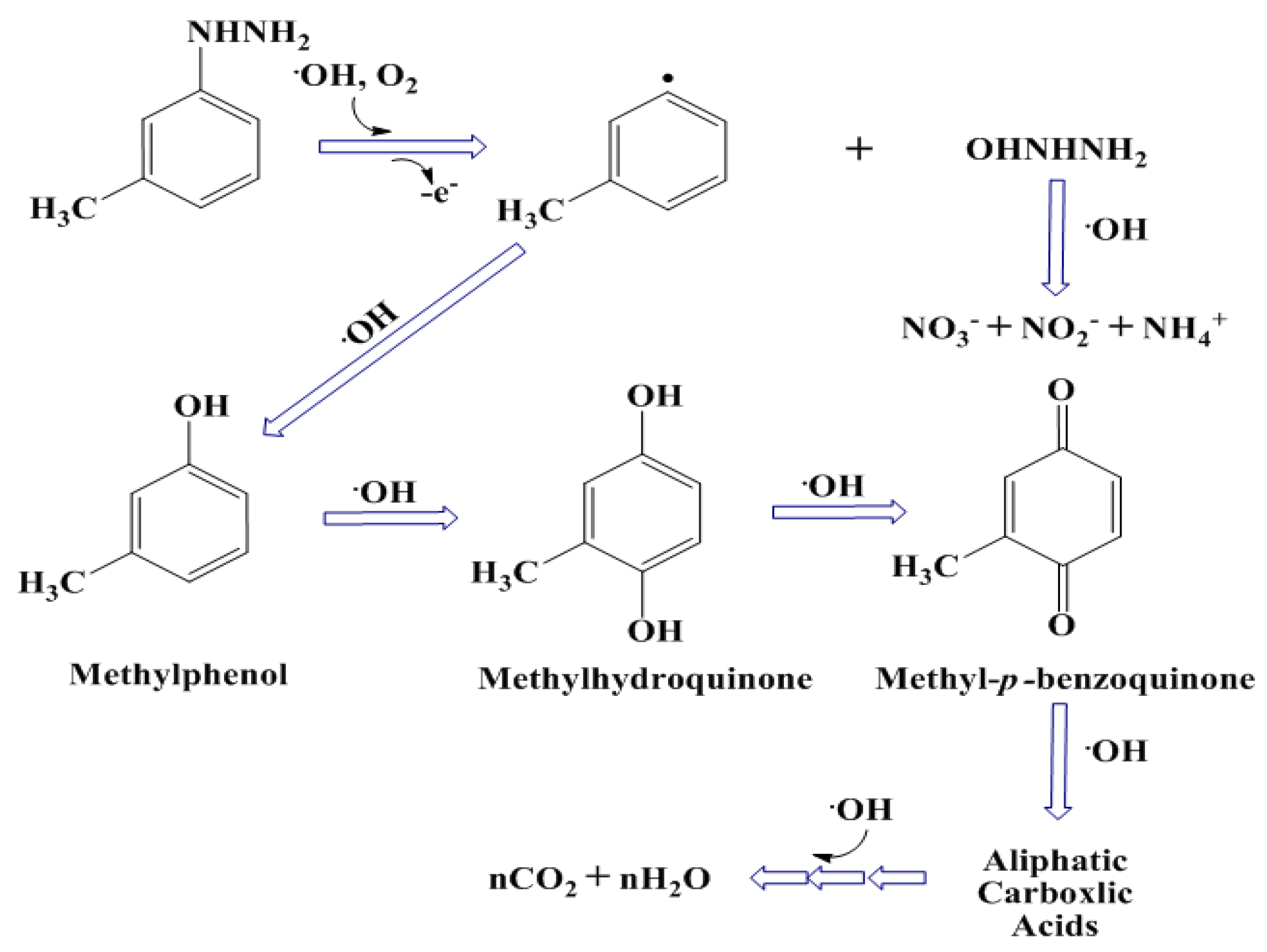 Catalysts 13 00905 sch002 Catalysts 13 00905 sch002