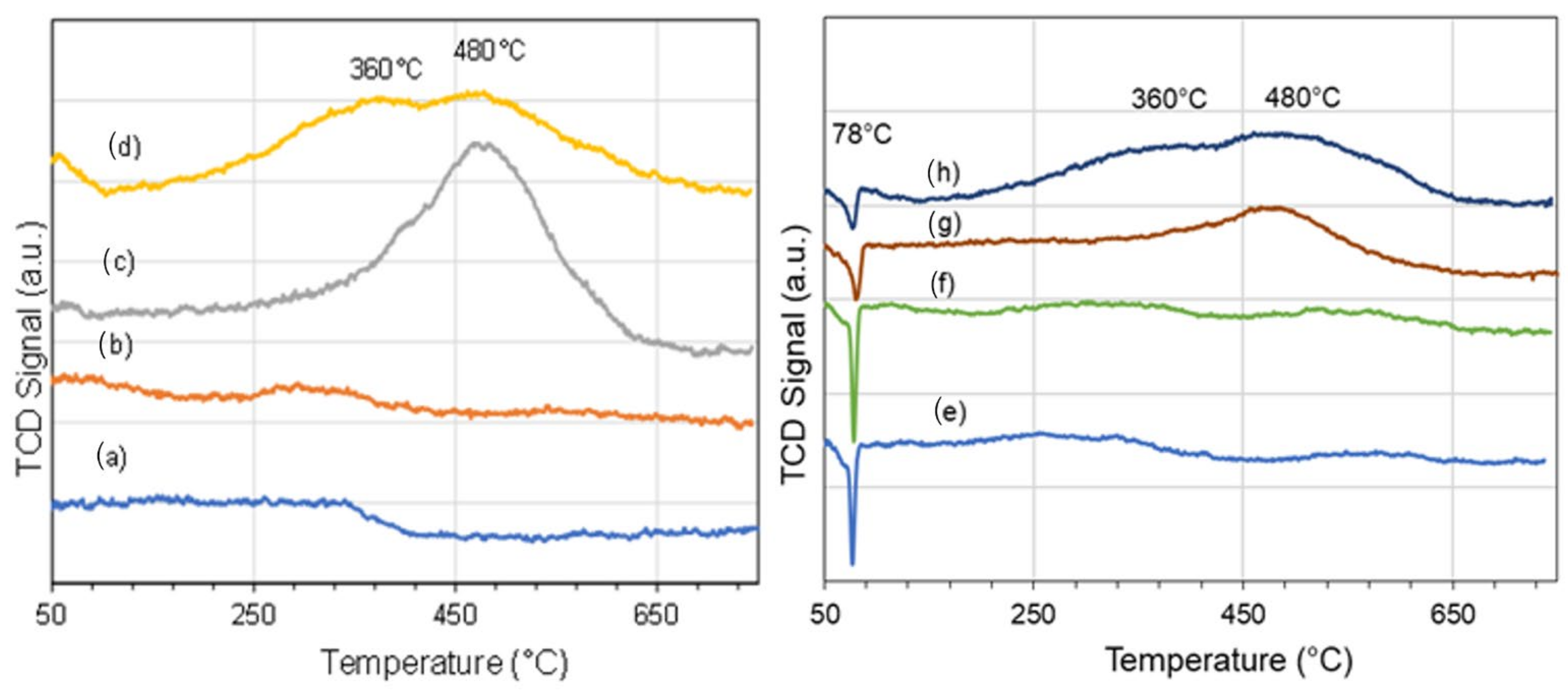 Catalysts 13 00926 g006