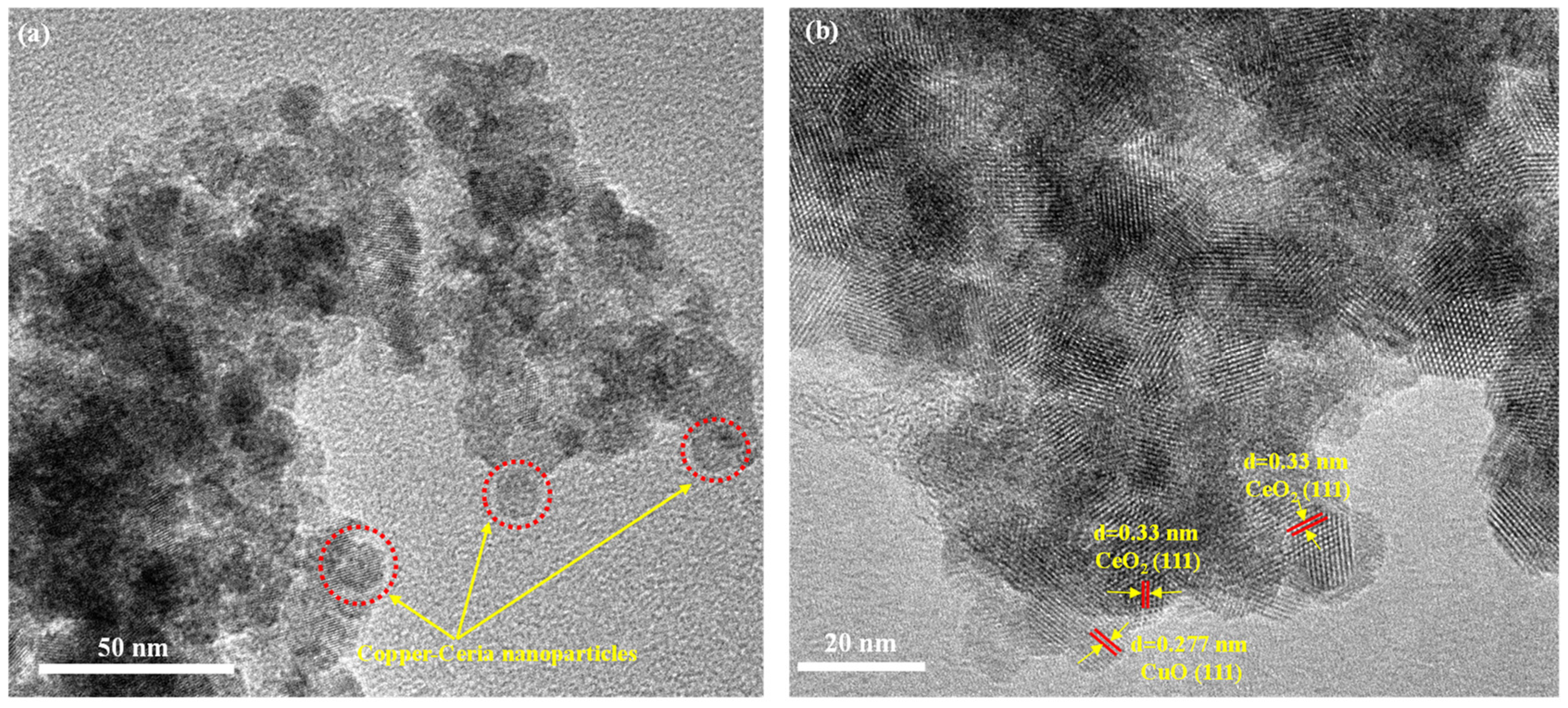 Catalysts 13 00951 g008