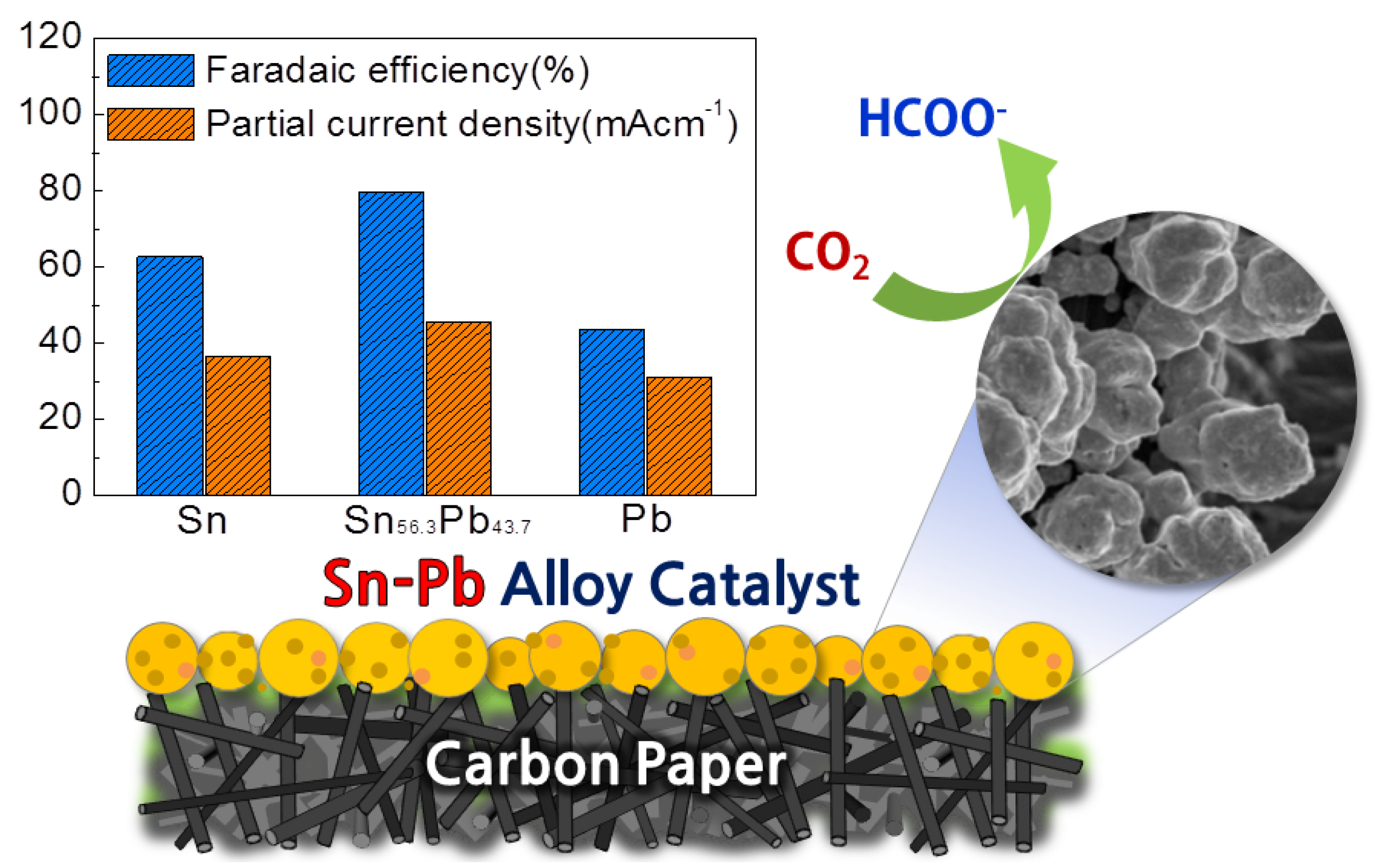 Catalysts 13 00955 g003 Catalysts 13 00955 g003