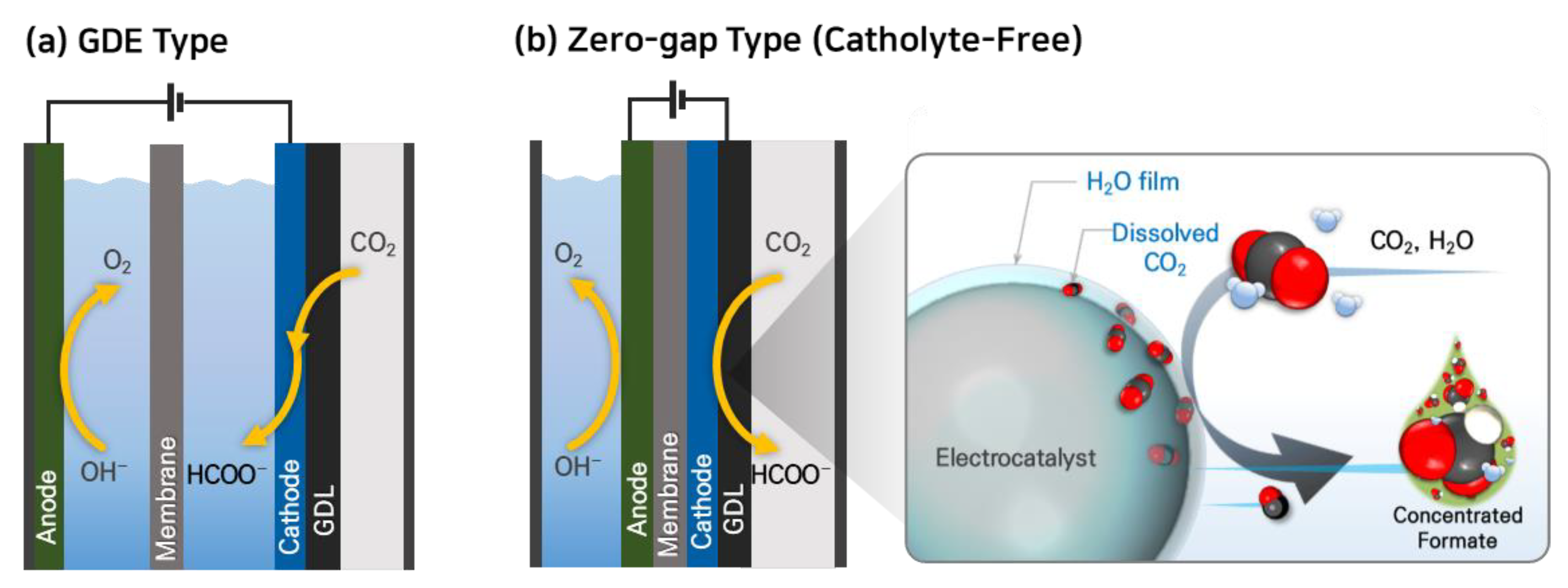Catalysts 13 00955 g005 Catalysts 13 00955 g005
