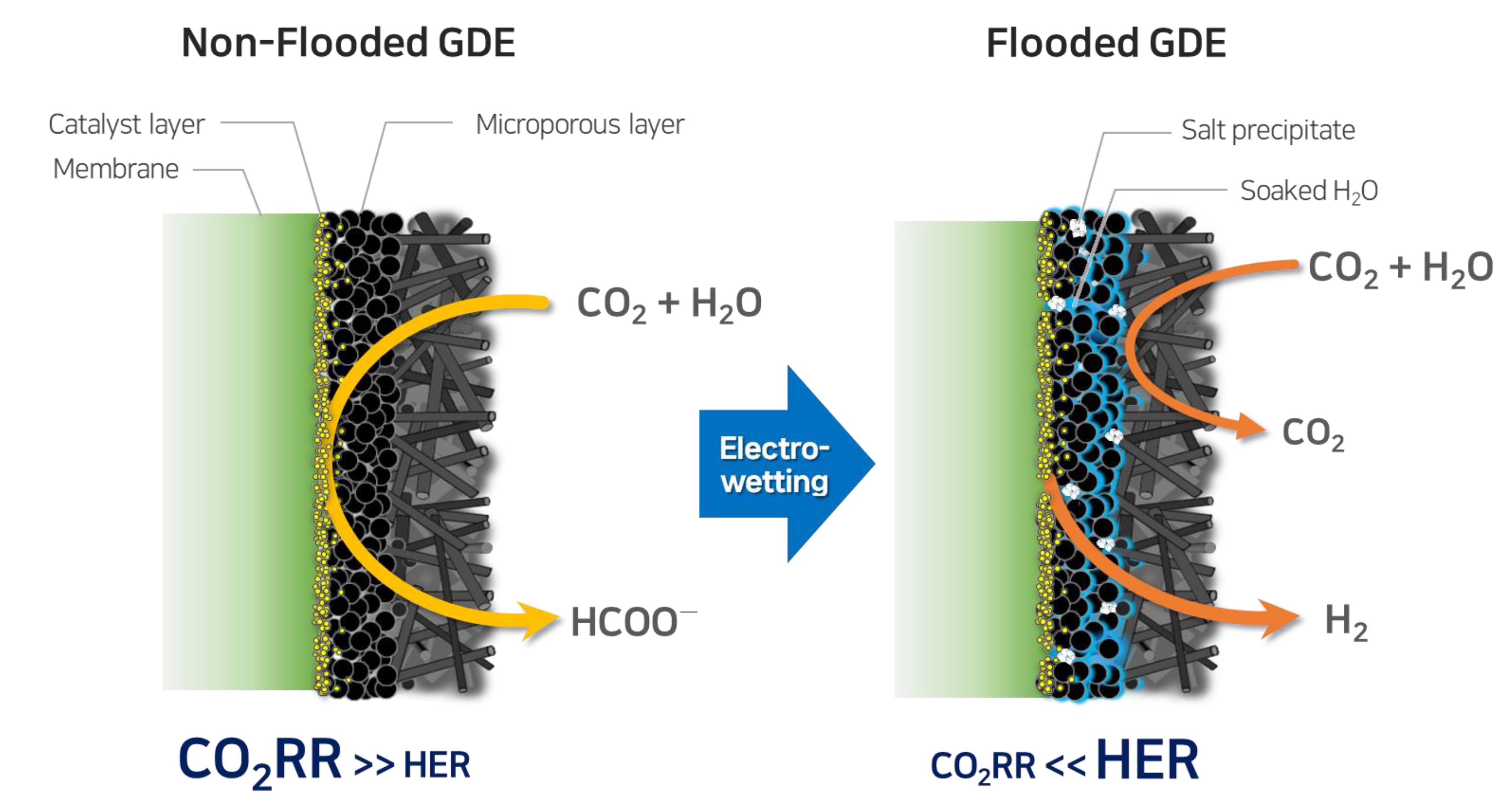 Catalysts 13 00955 g006 Catalysts 13 00955 g006