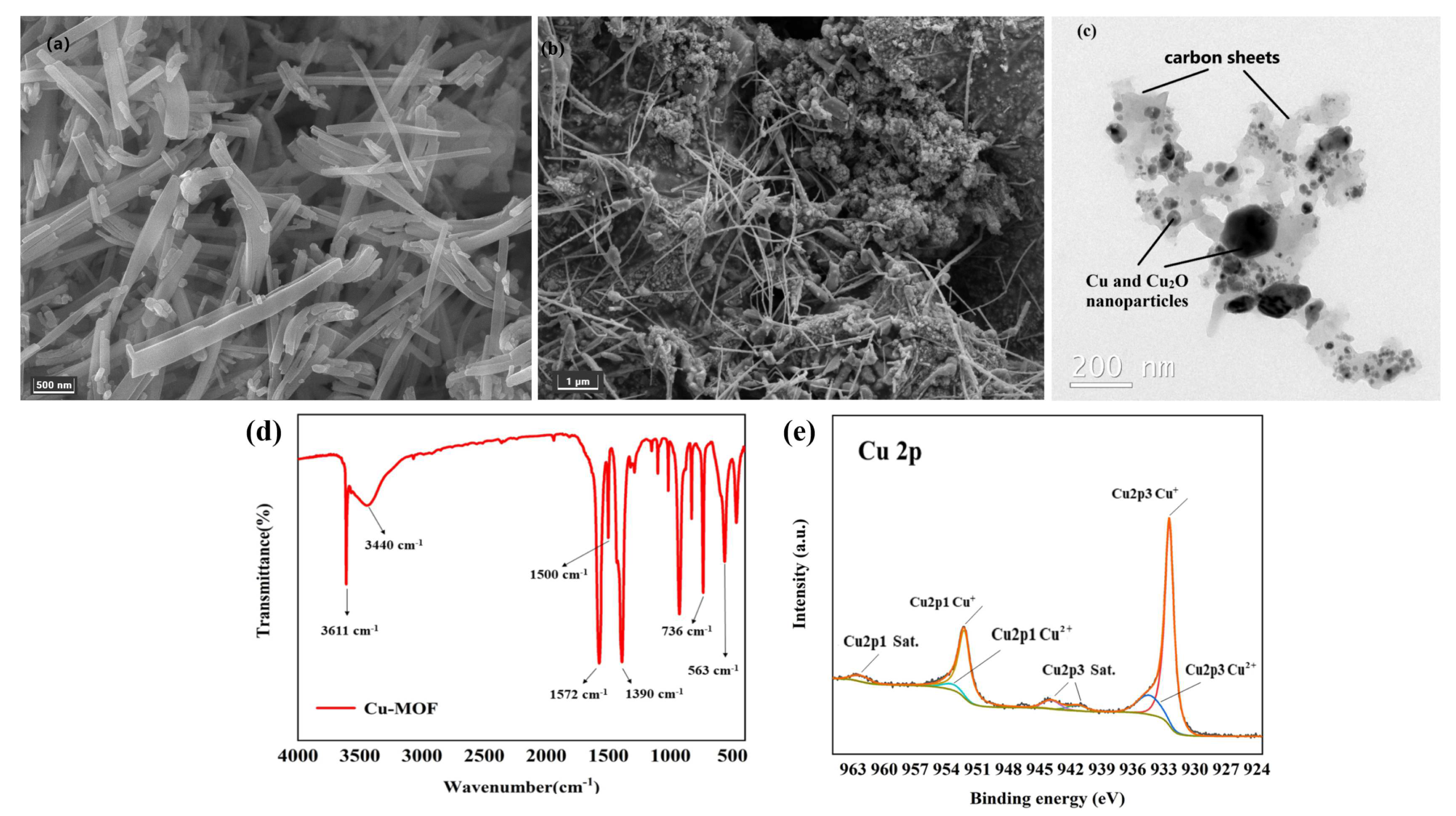 Catalysts 13 00956 g004 Catalysts 13 00956 g004