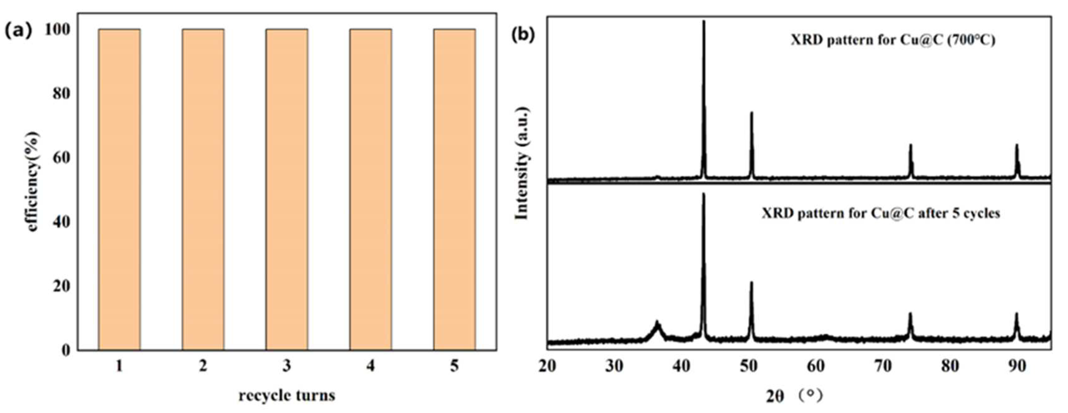 Catalysts 13 00956 g007 Catalysts 13 00956 g007