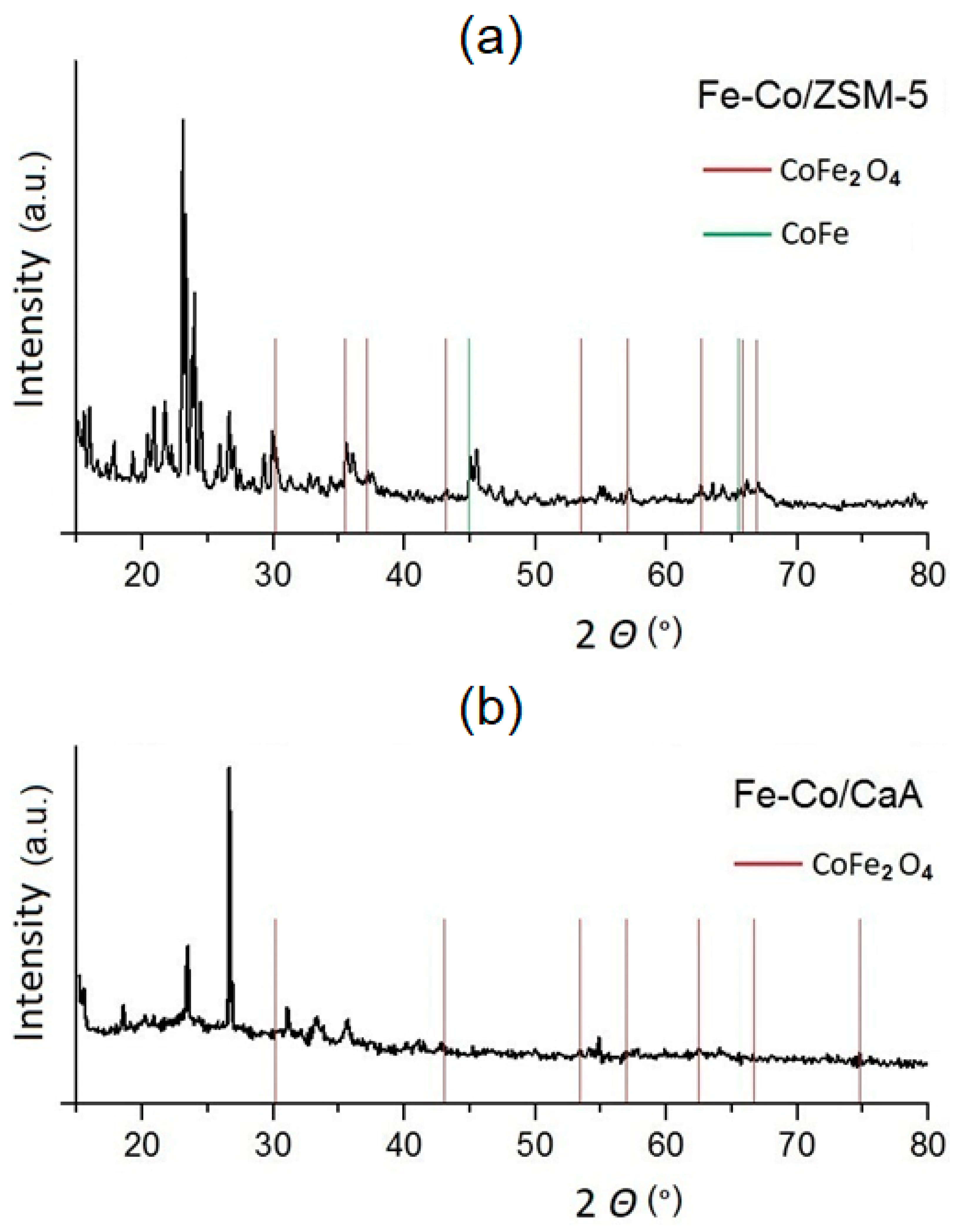 Catalysts 13 00957 g001