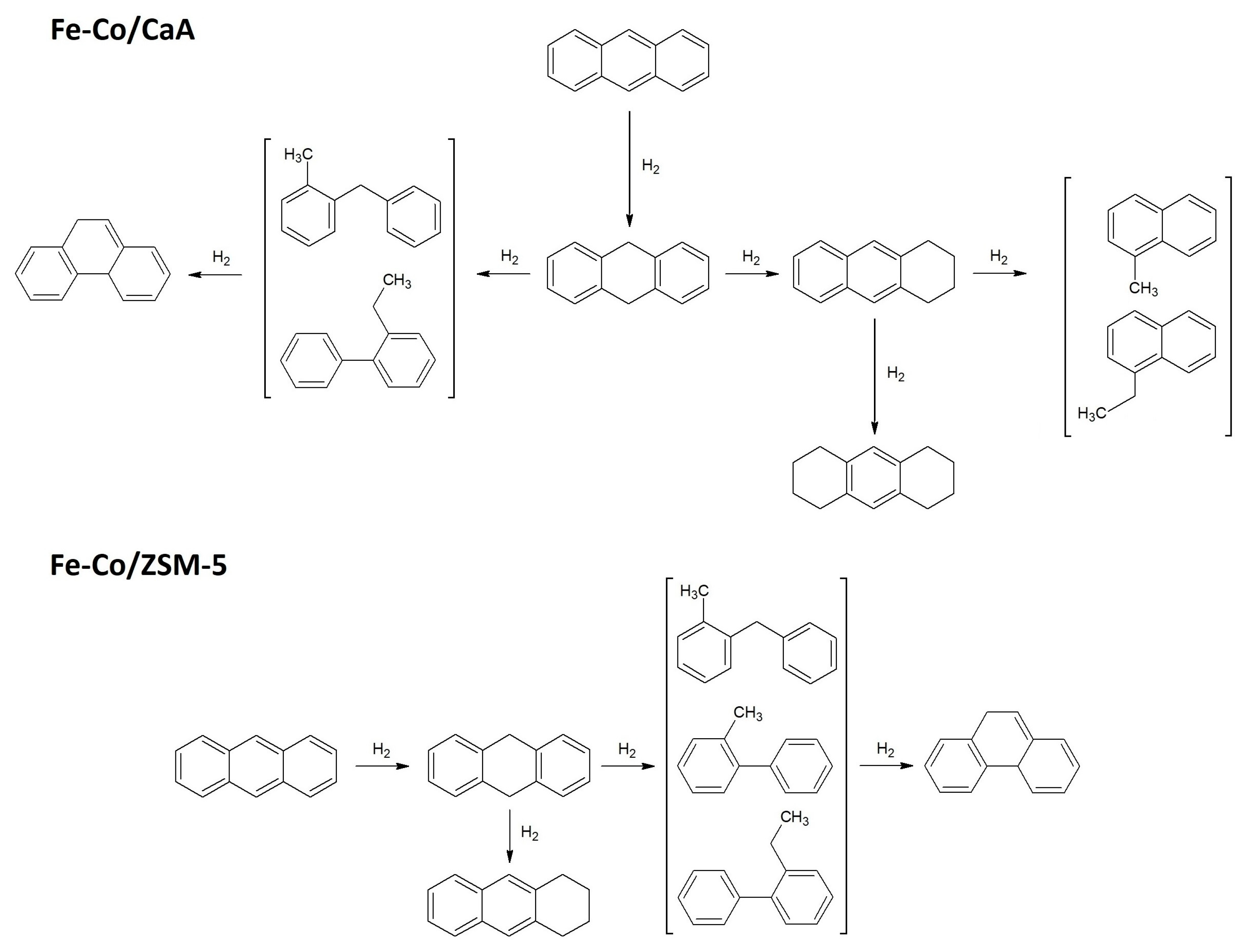 Catalysts 13 00957 sch001
