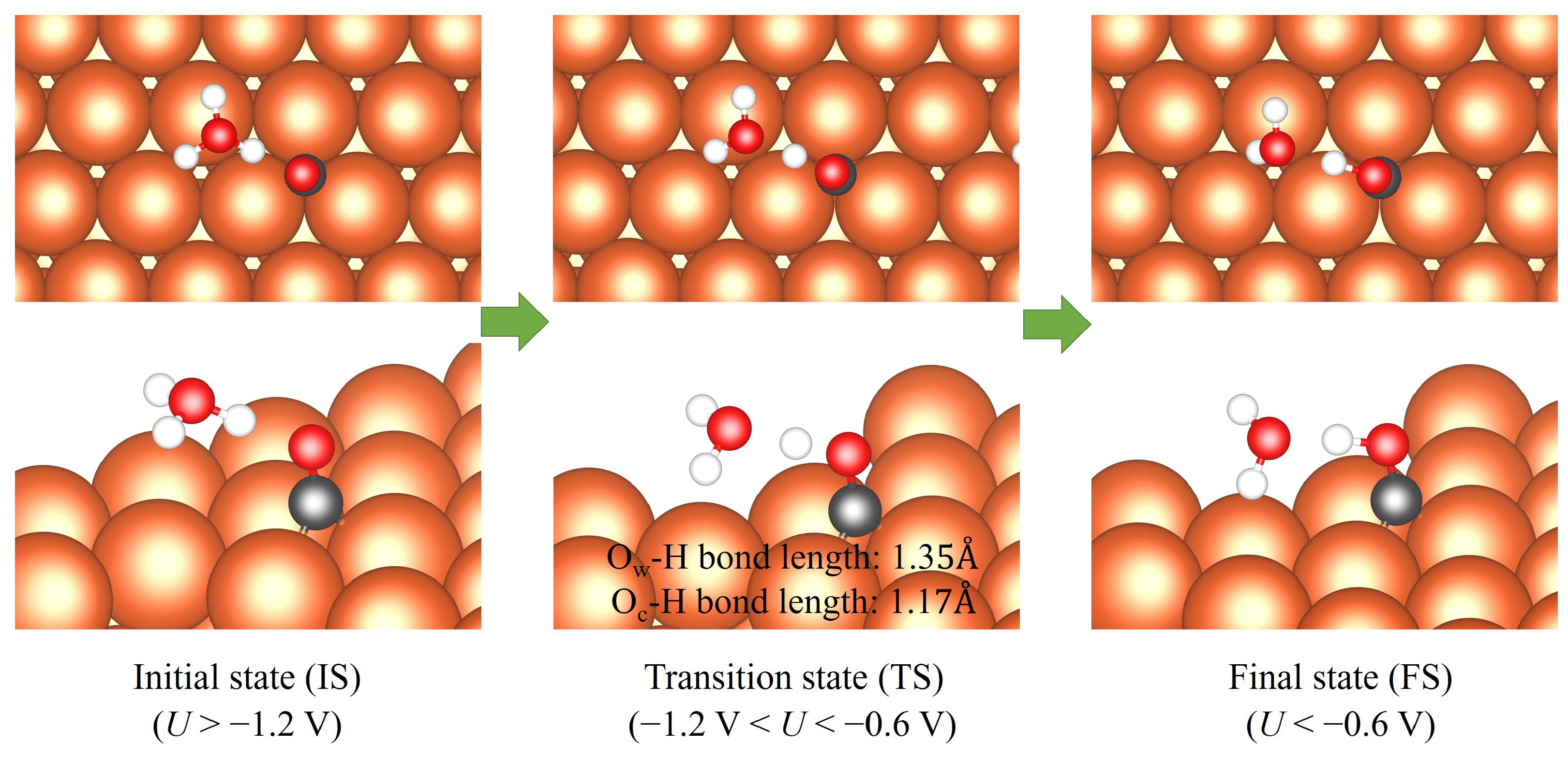 Catalysts 13 00960 g003