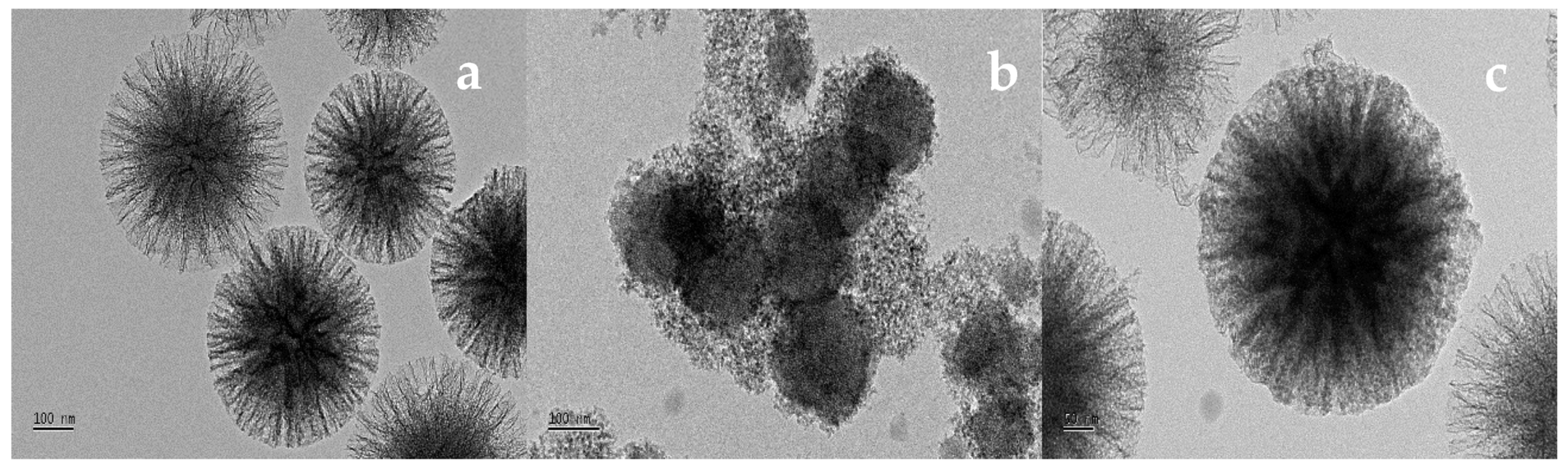 Catalysts 13 00969 g006 Catalysts 13 00969 g006