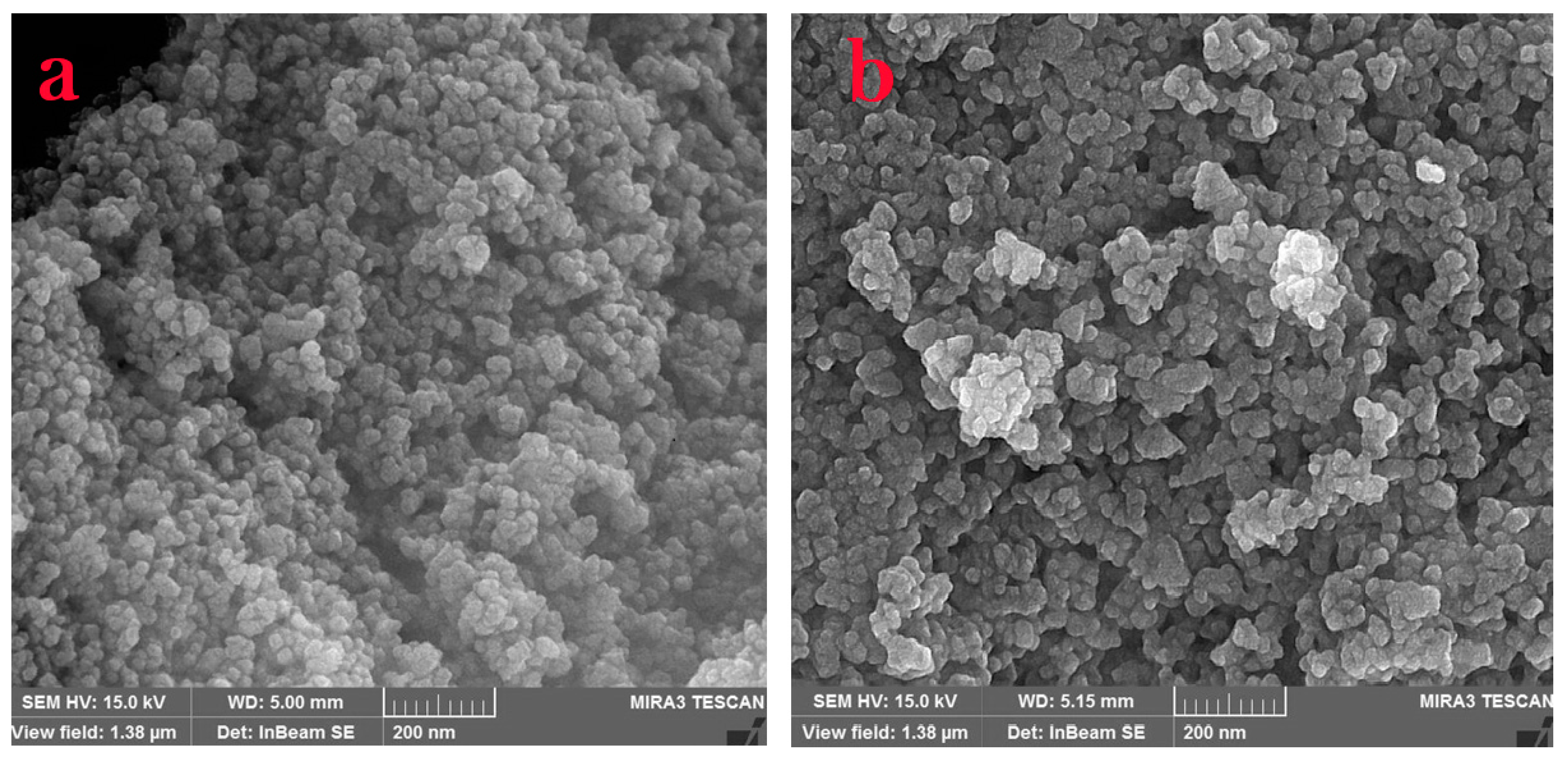 Catalysts 13 00989 g005 Catalysts 13 00989 g005