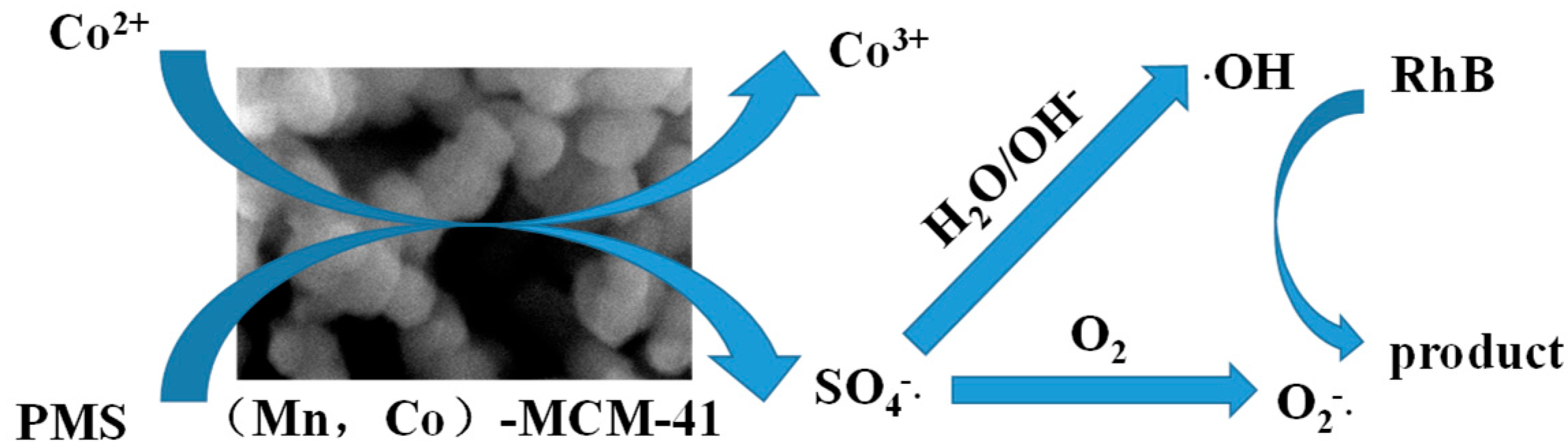 Catalysts 13 00991 g013 Catalysts 13 00991 g013
