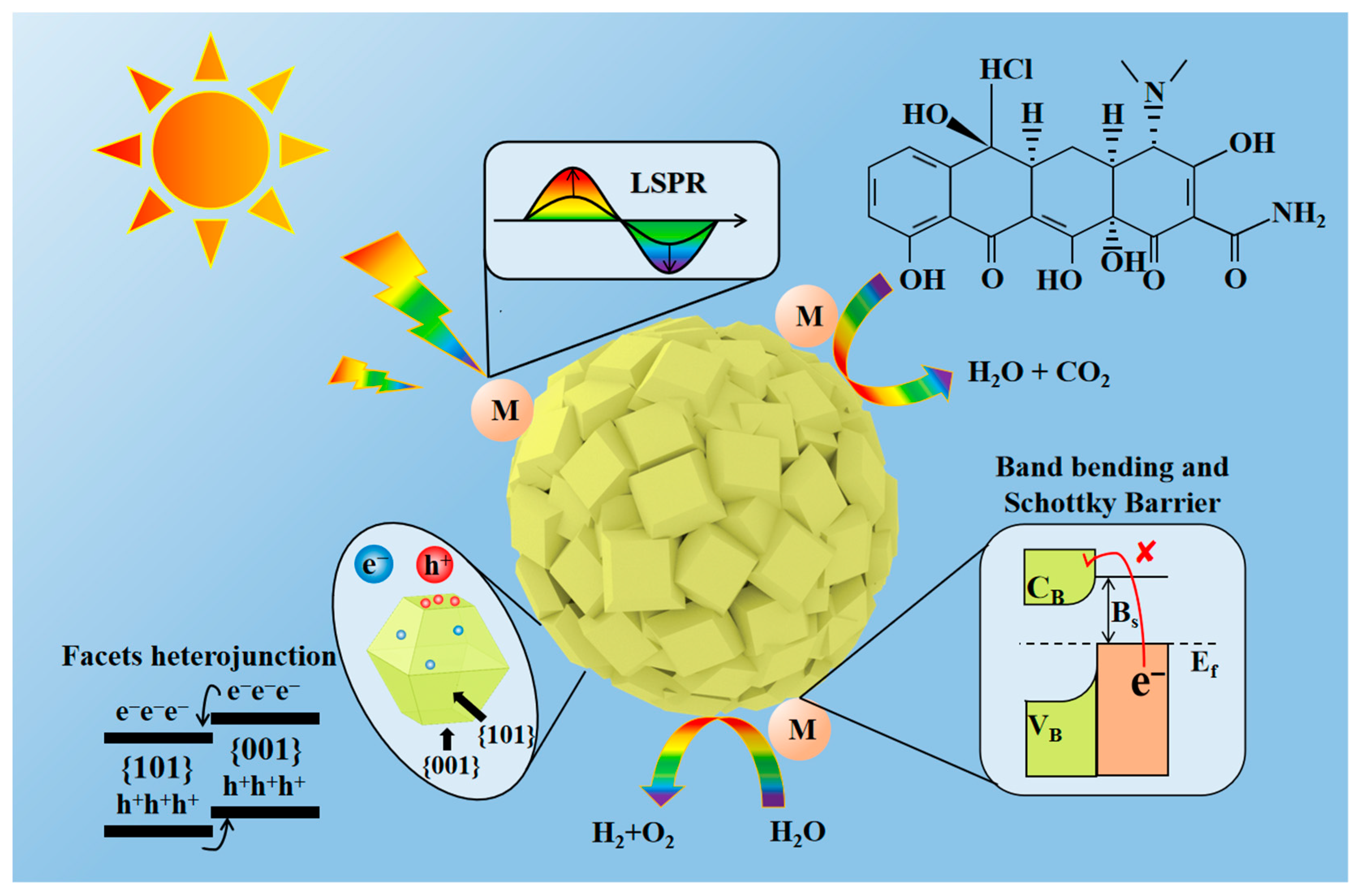 Catalysts 13 00995 g011 Catalysts 13 00995 g011