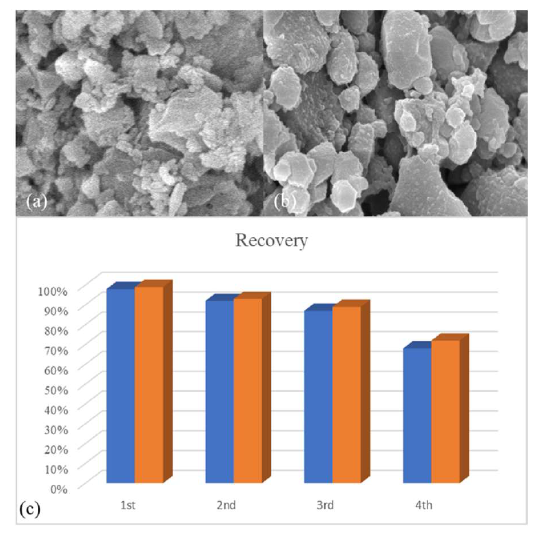 Catalysts 13 01003 g006