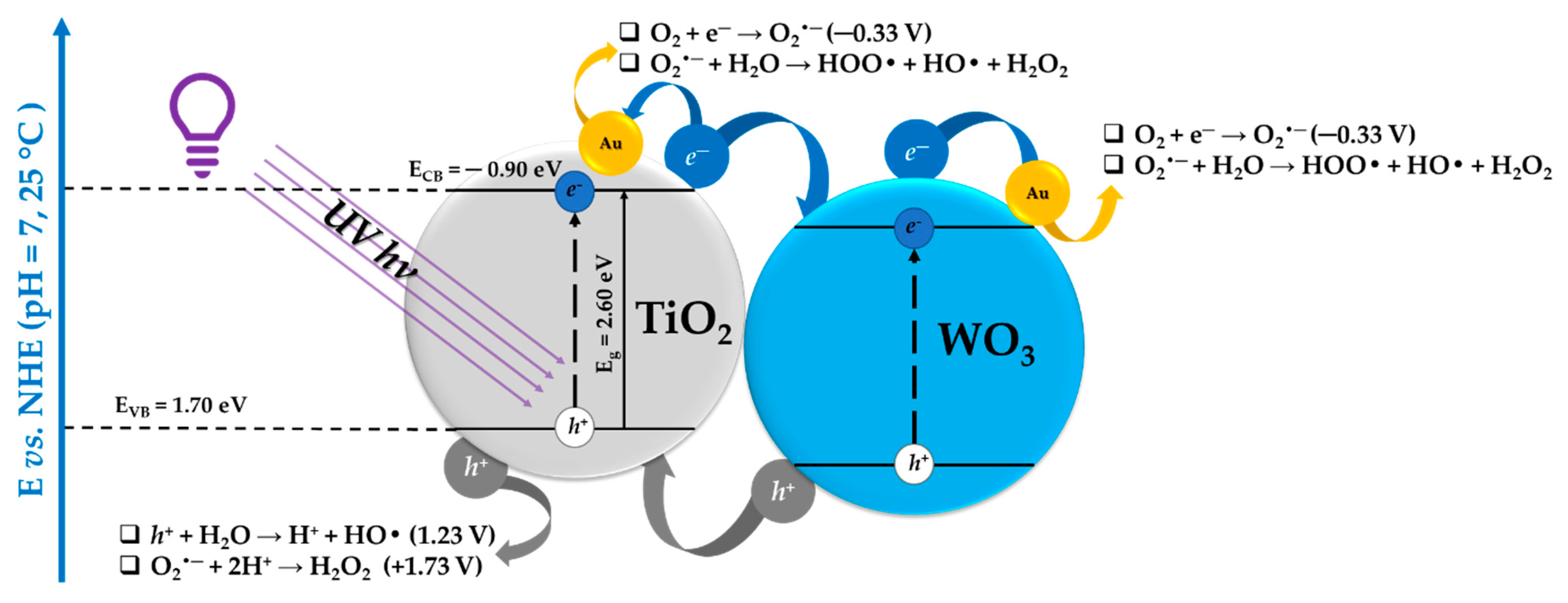 Catalysts 13 01015 g010 Catalysts 13 01015 g010