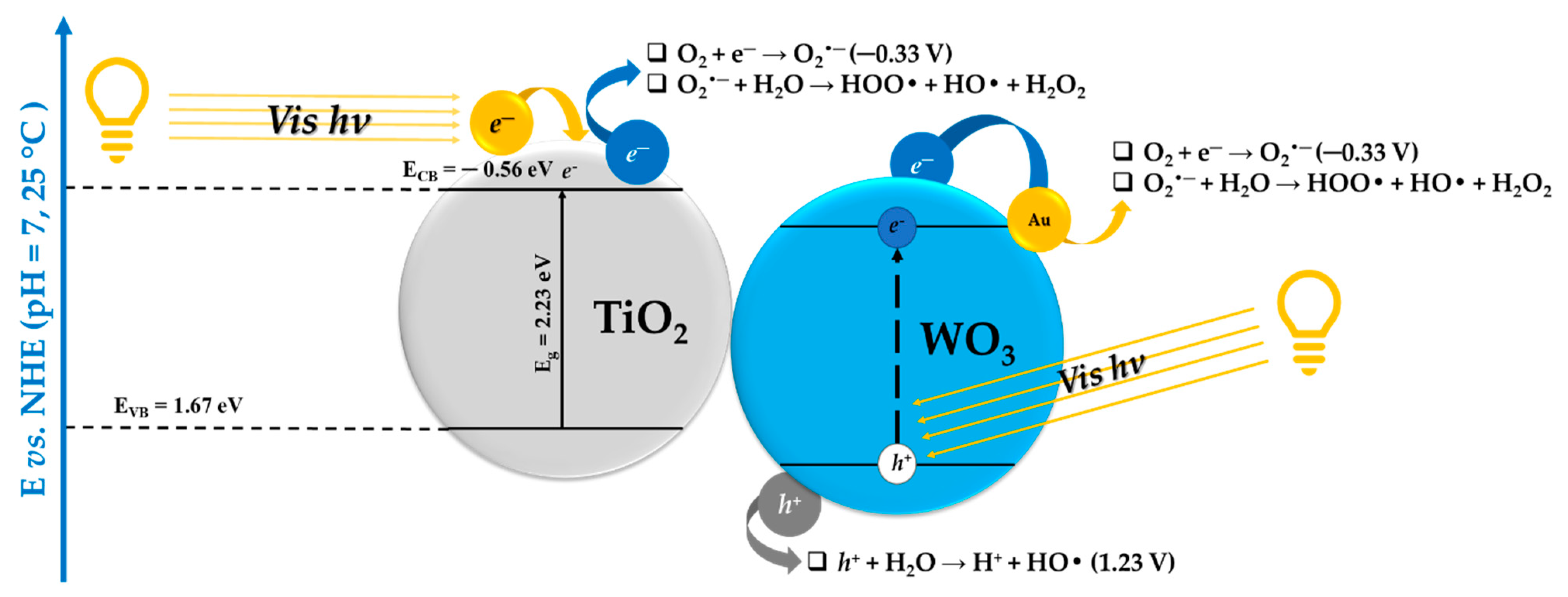 Catalysts 13 01015 g011 Catalysts 13 01015 g011