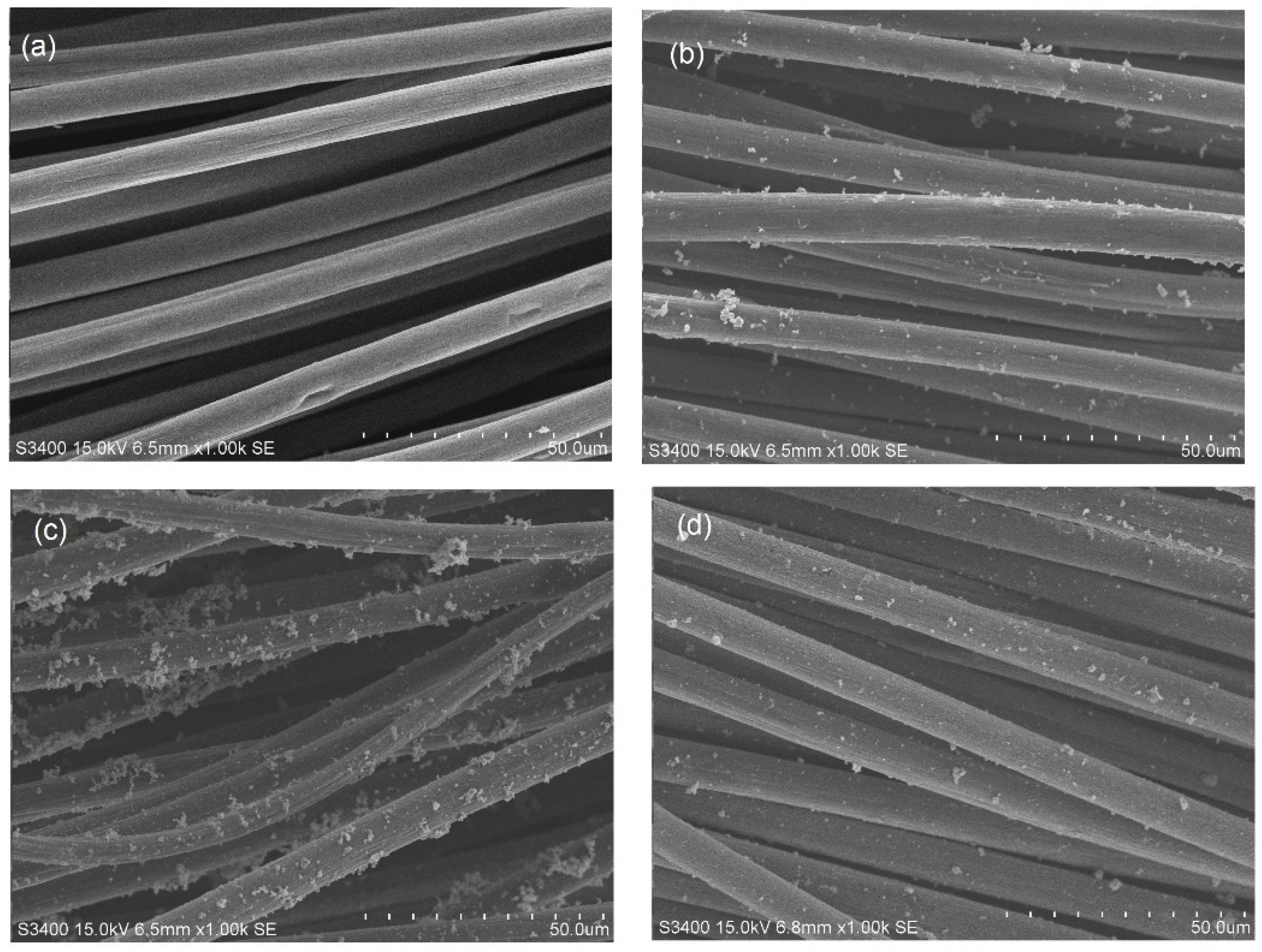 Catalysts 13 01020 g002