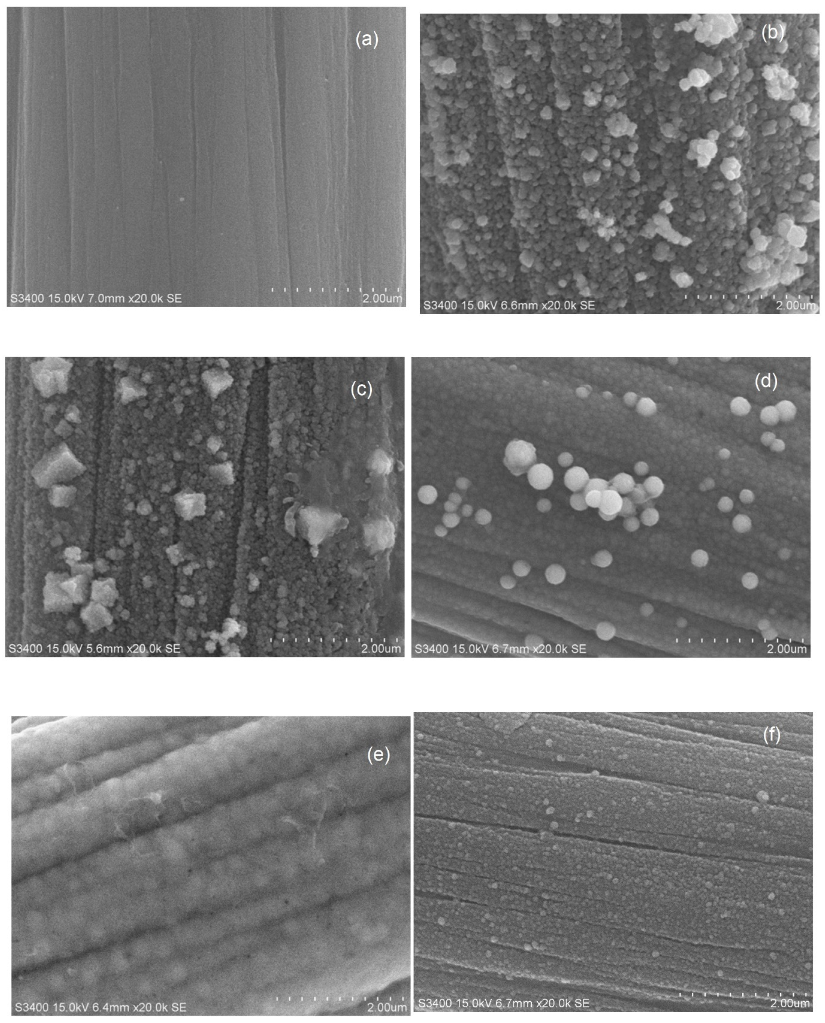 Catalysts 13 01020 g004