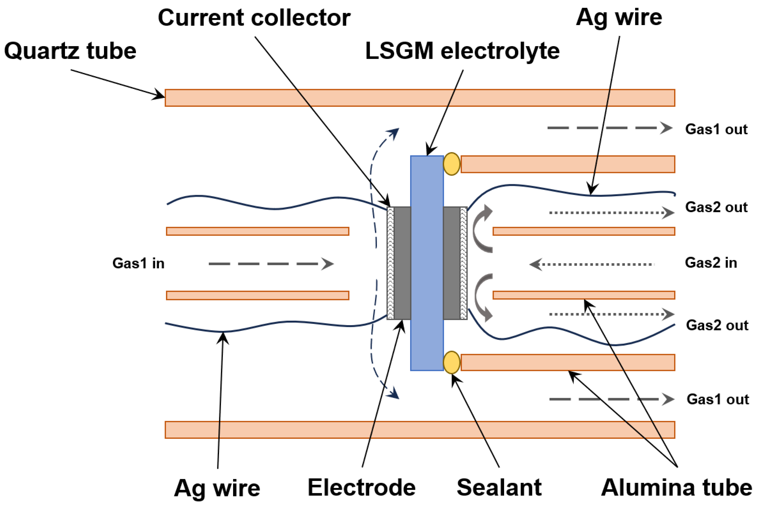 Catalysts 13 01043 g001