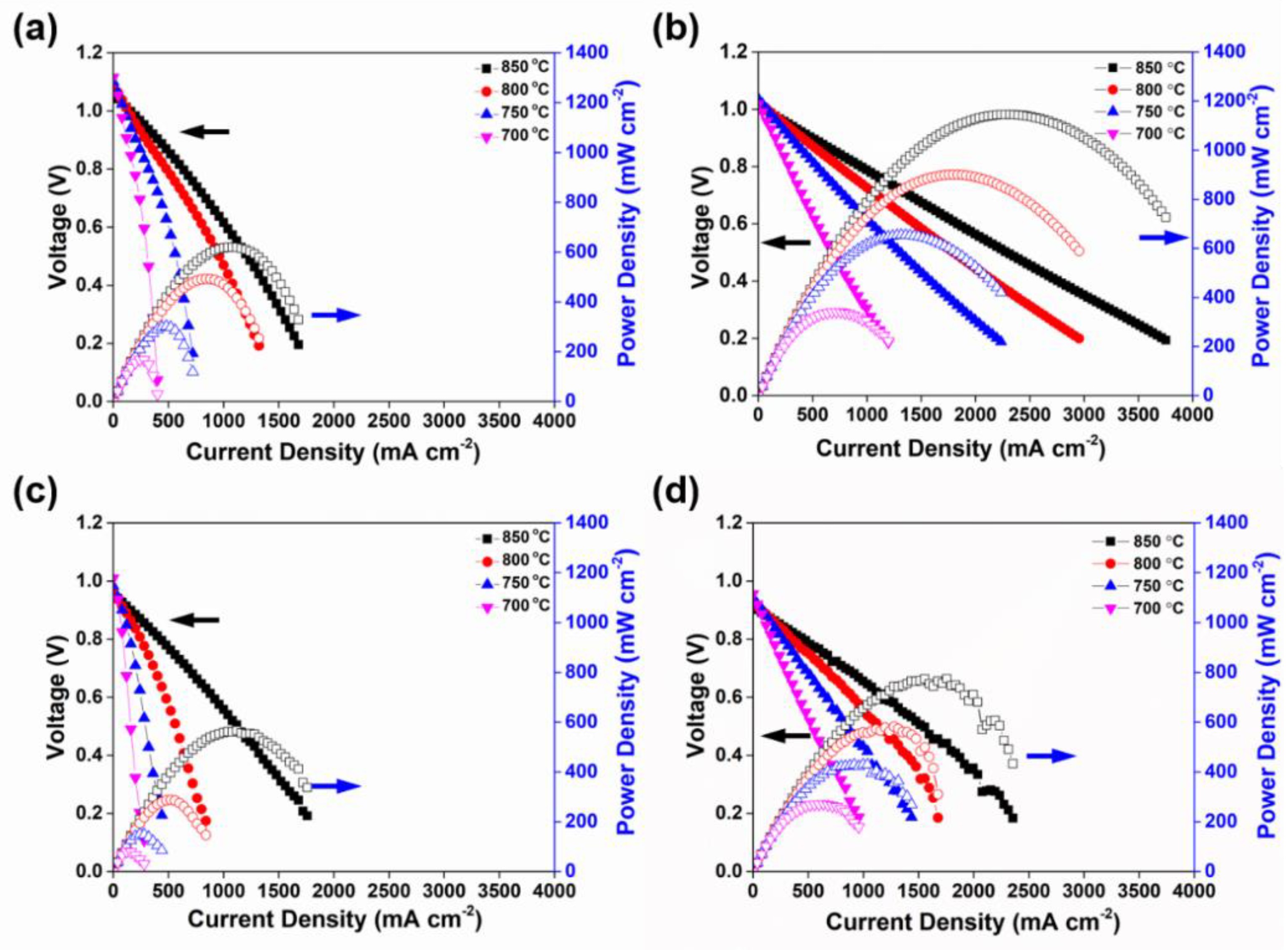 Catalysts 13 01043 g005