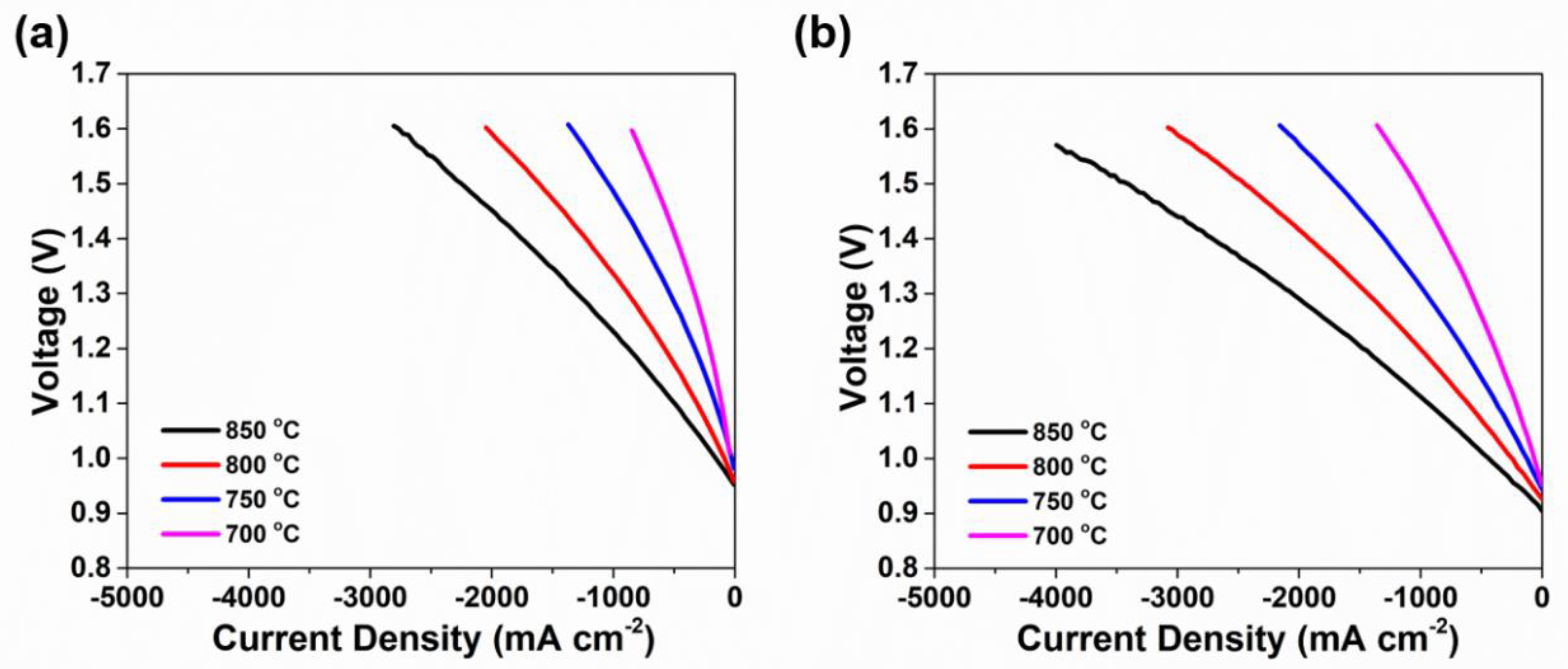Catalysts 13 01043 g006
