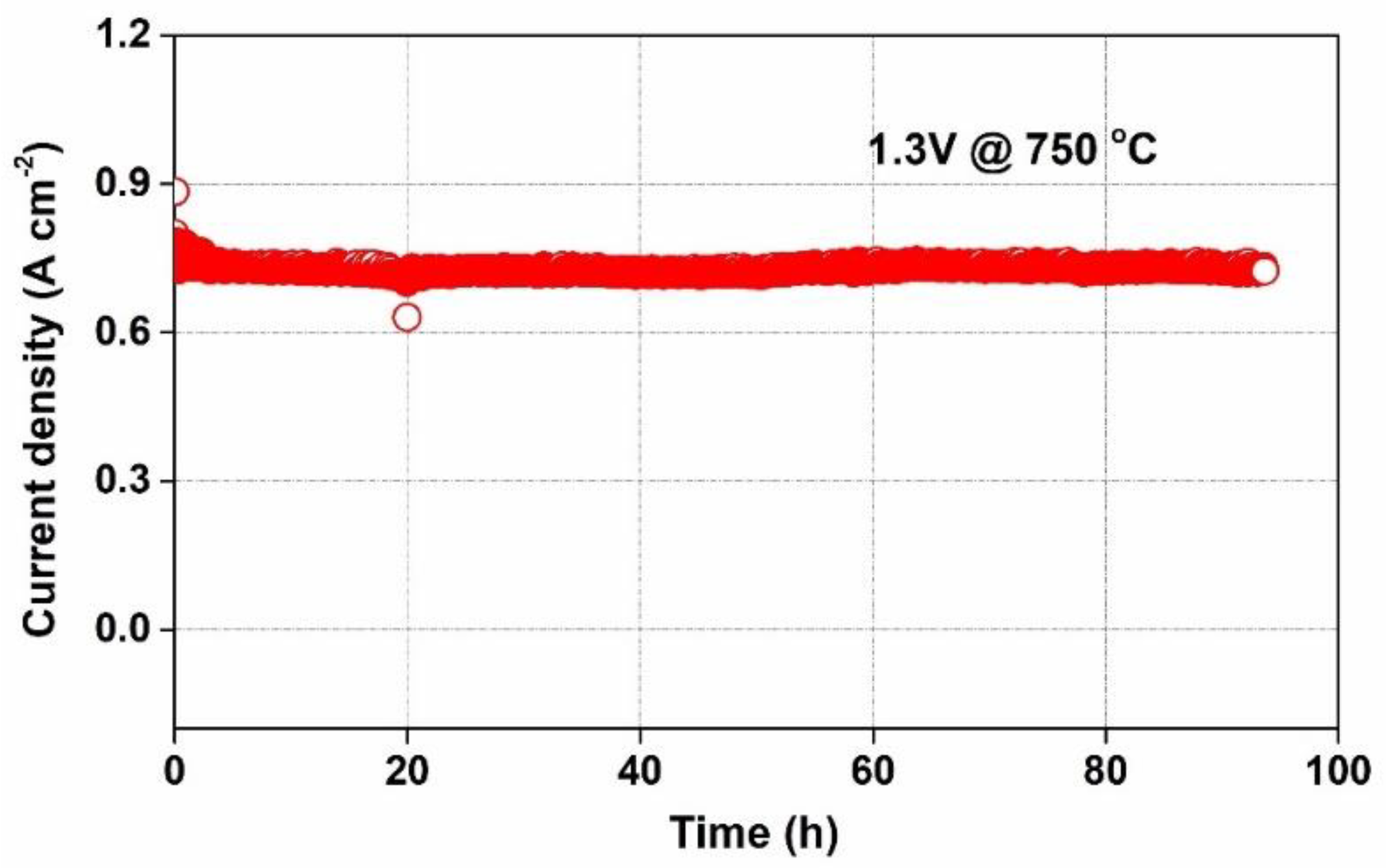 Catalysts 13 01043 g008