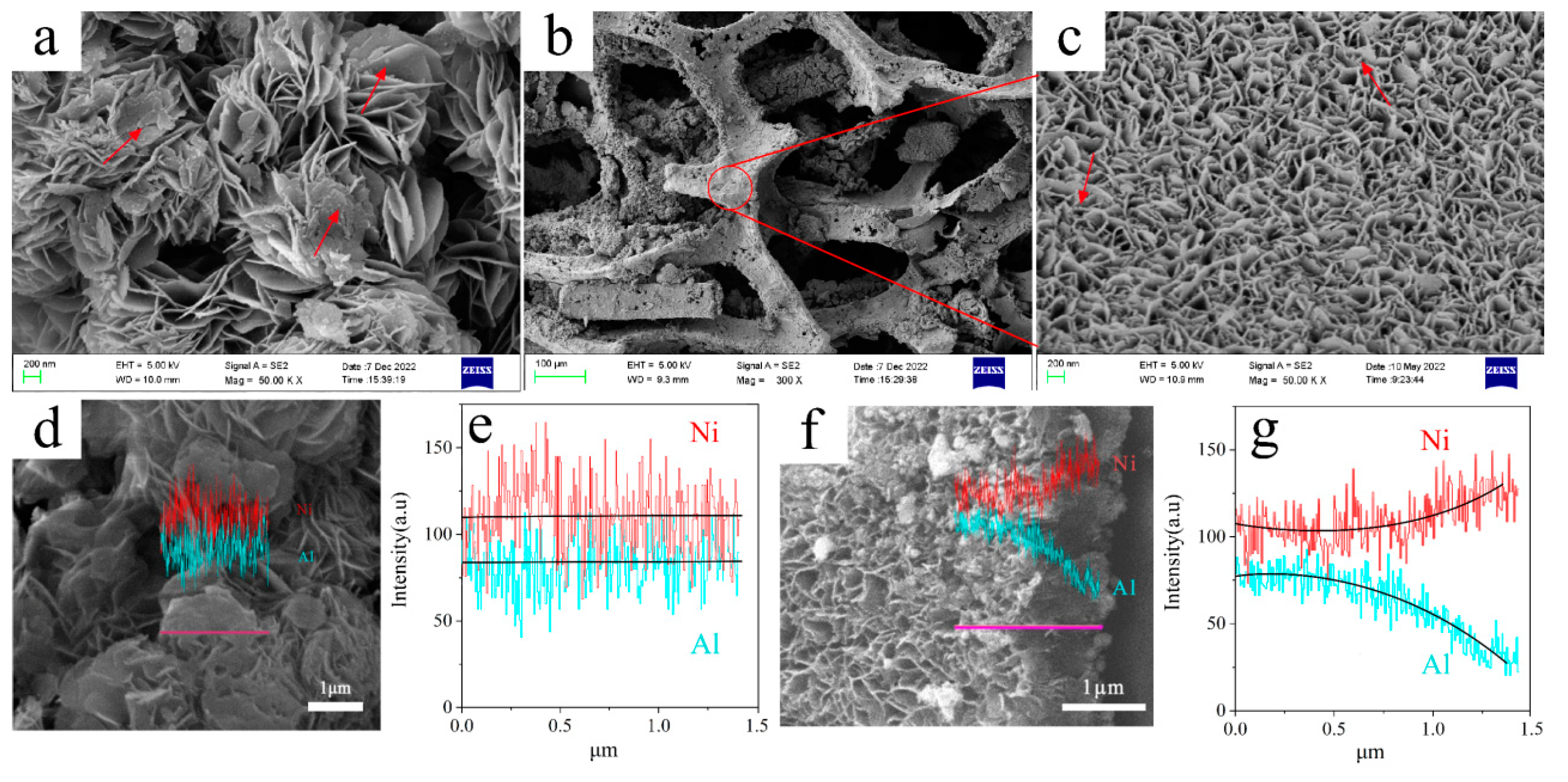 Catalysts 13 01047 g002 Catalysts 13 01047 g002
