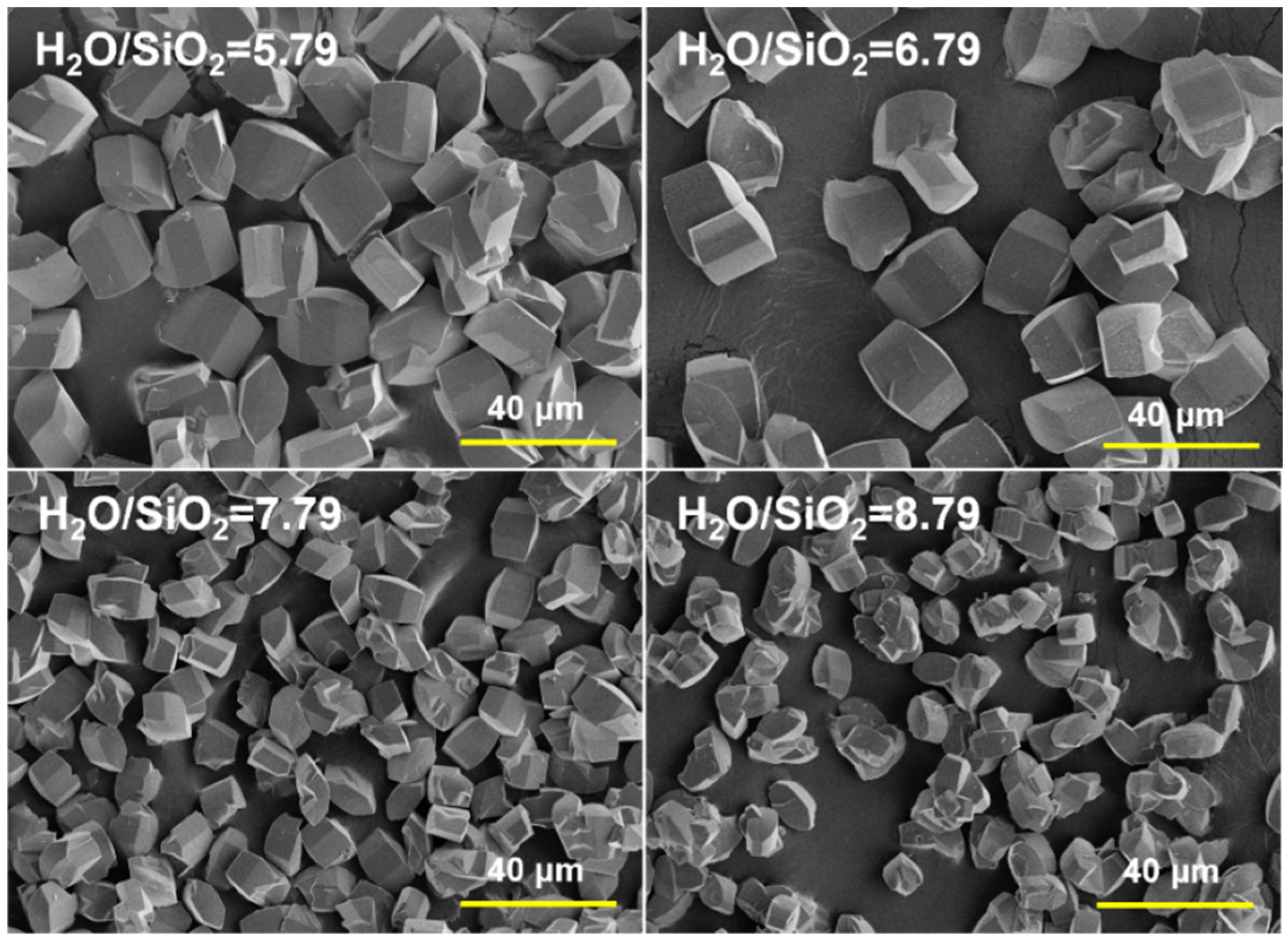 Catalysts 13 01049 g005