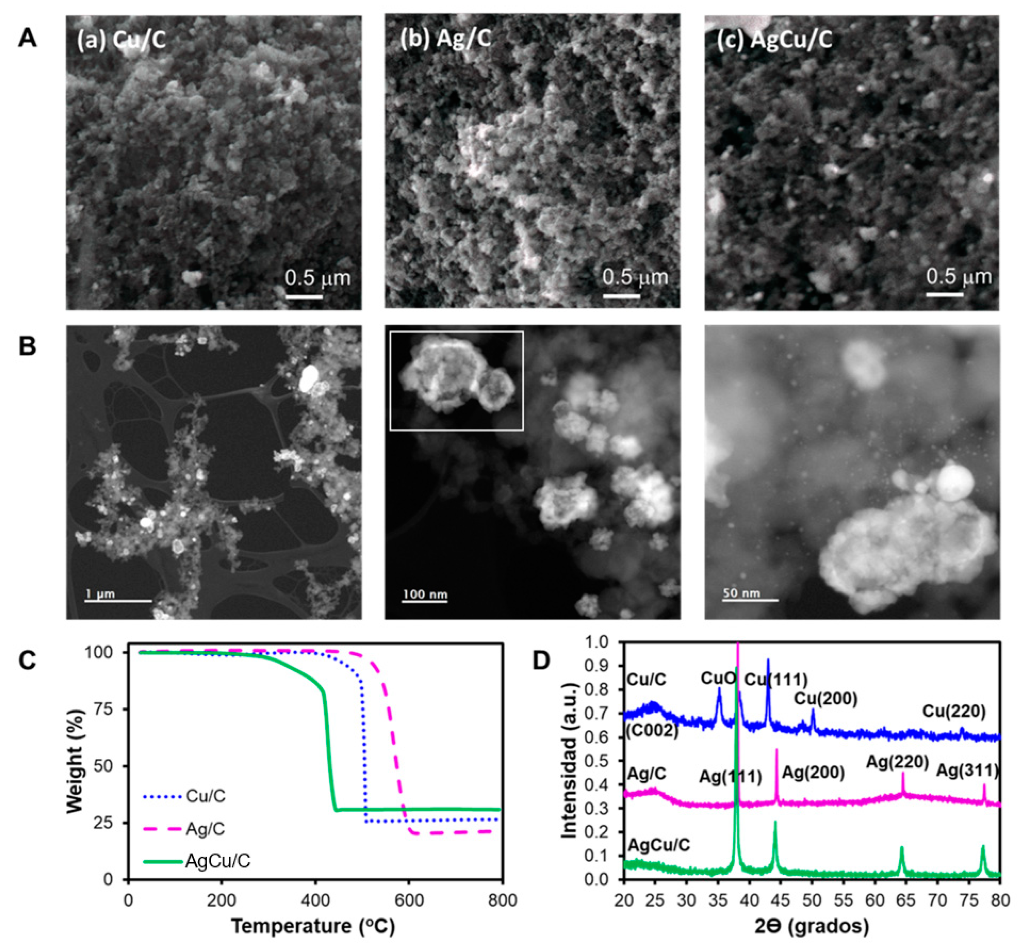 Catalysts 13 01050 g001