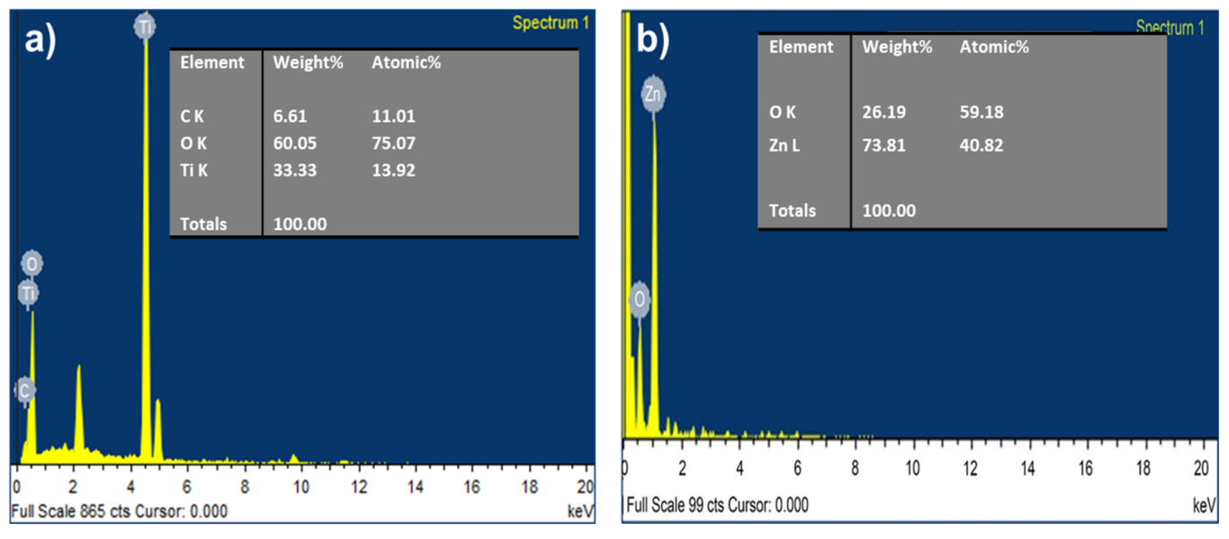 Catalysts 13 01062 g003
