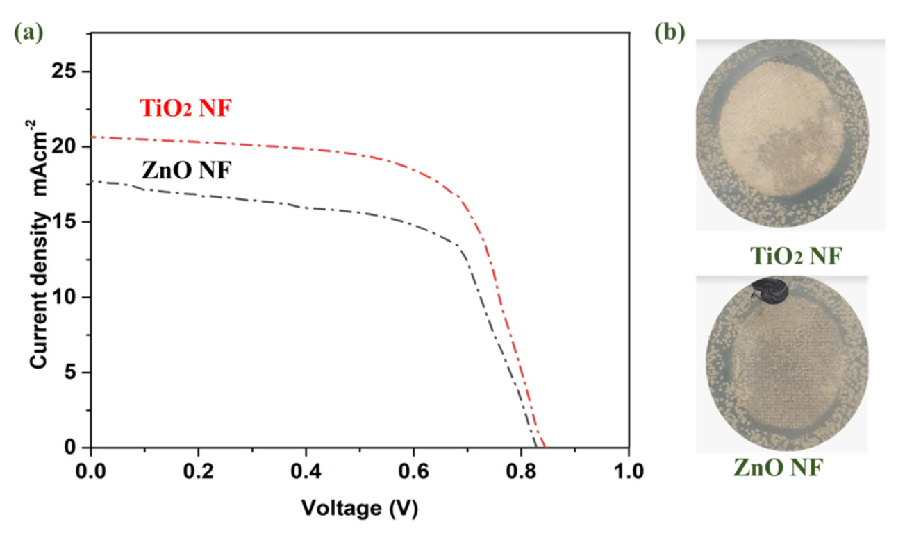 Catalysts 13 01062 g006